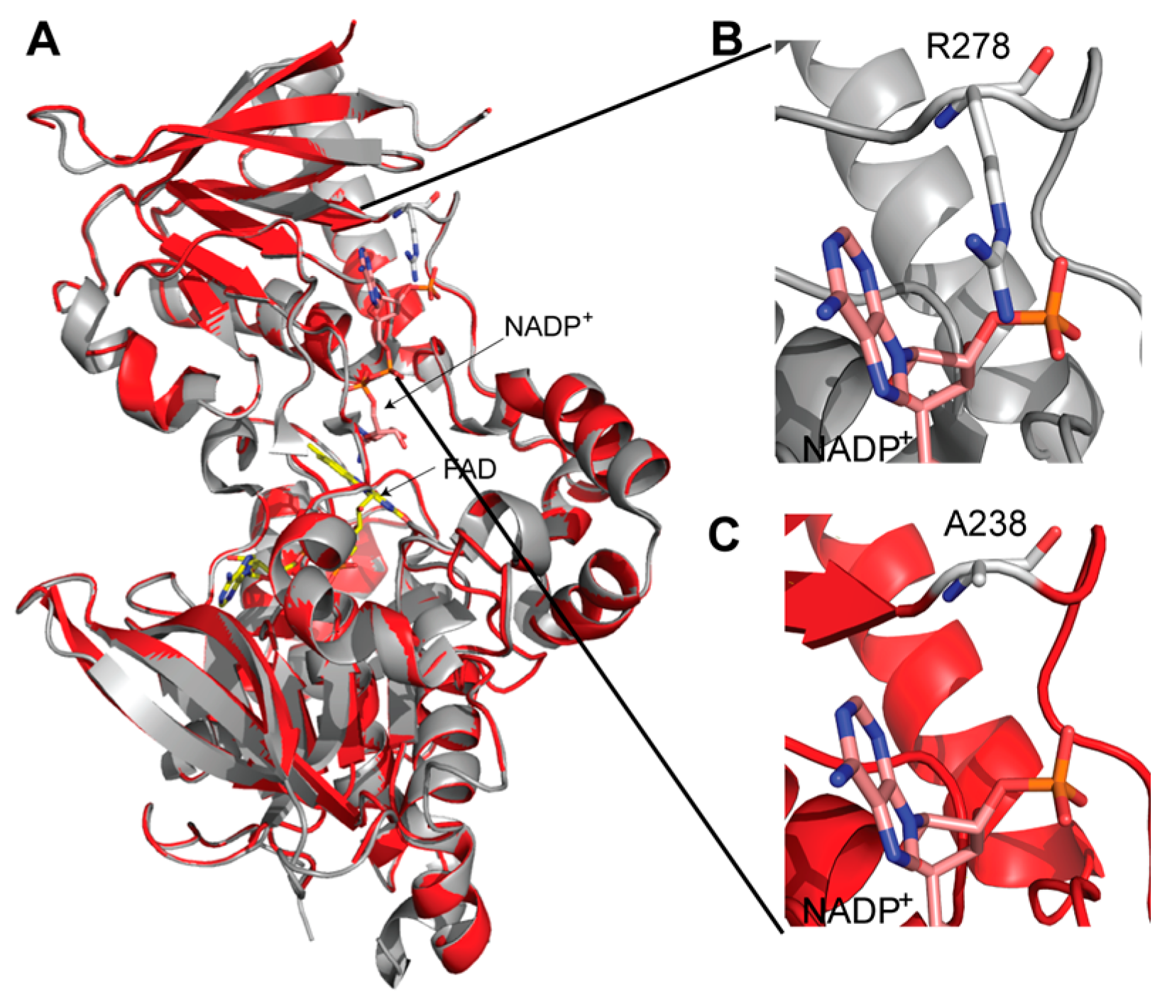 Molecules 22 01652 g003