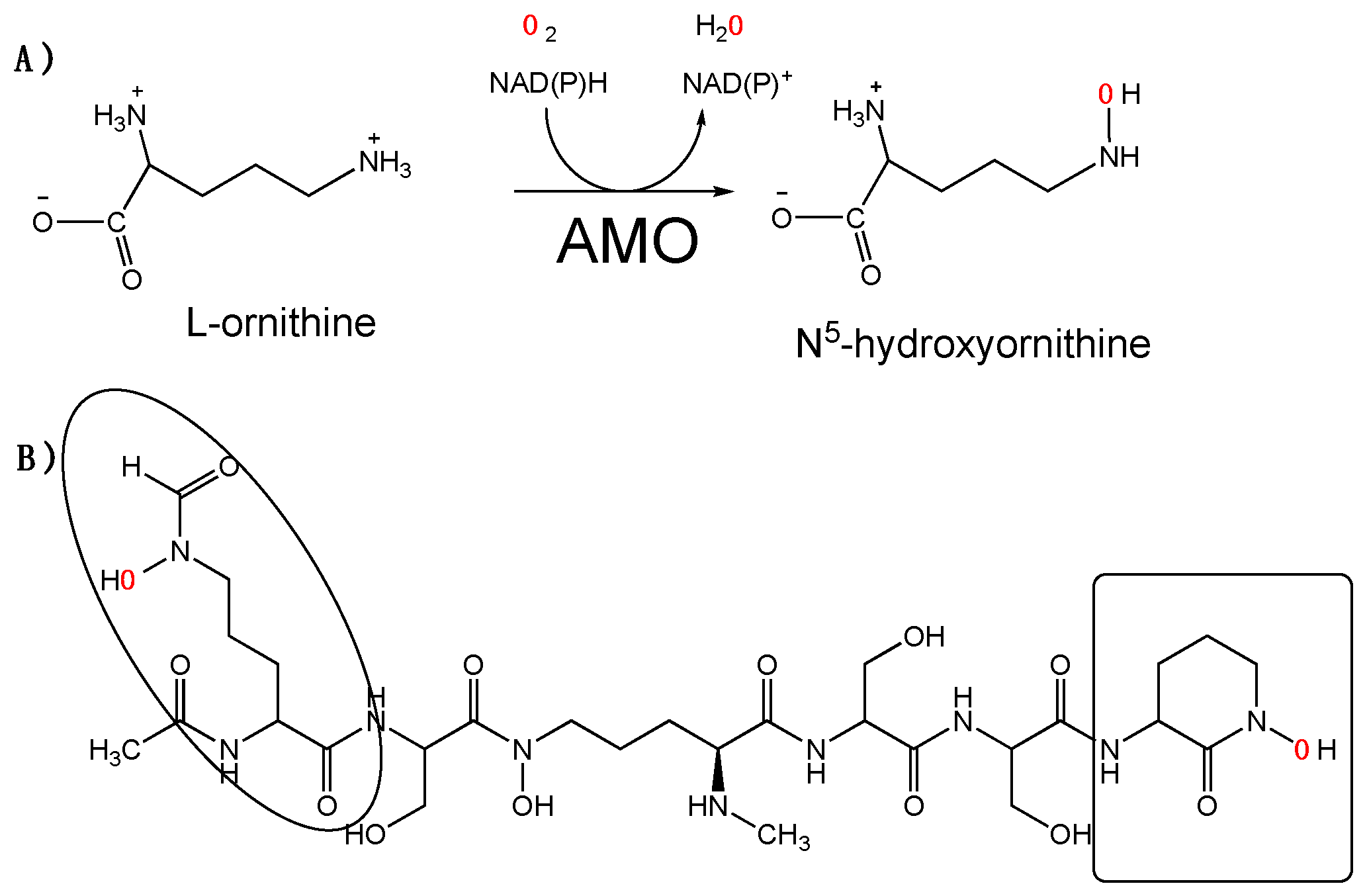 Molecules 22 01652 sch001