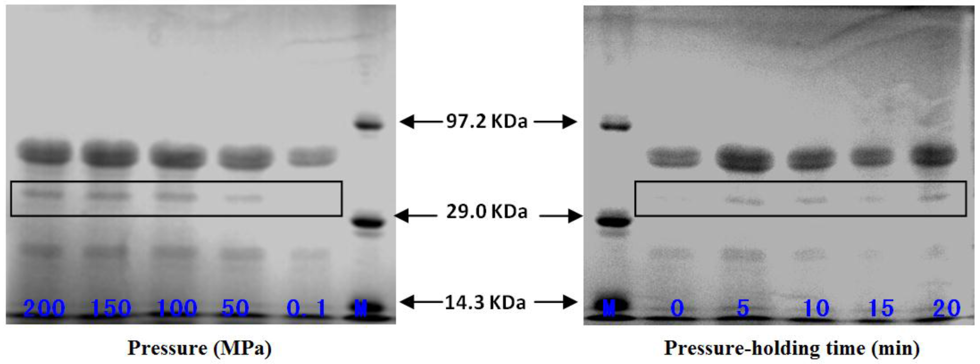 Molecules 22 01659 g004