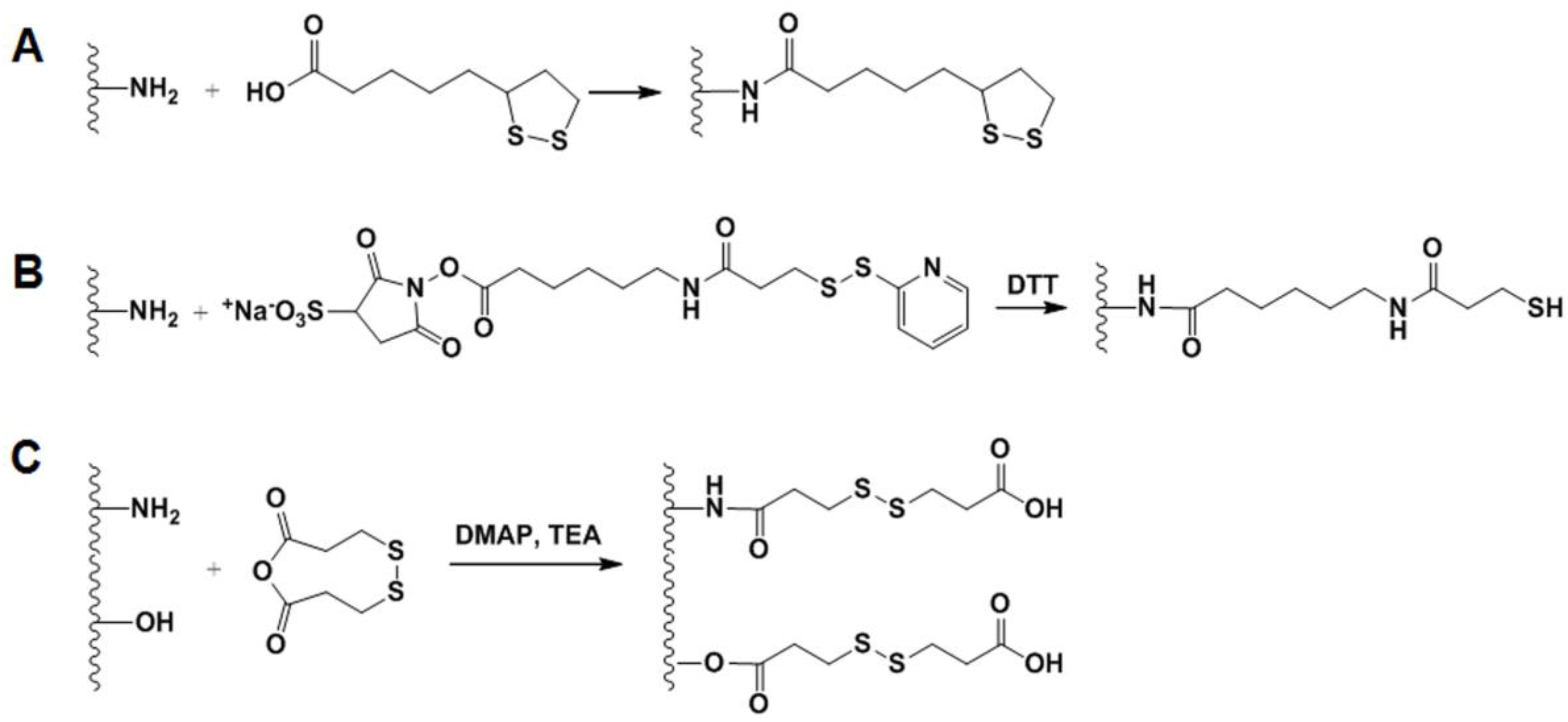 Molecules 22 01662 g004