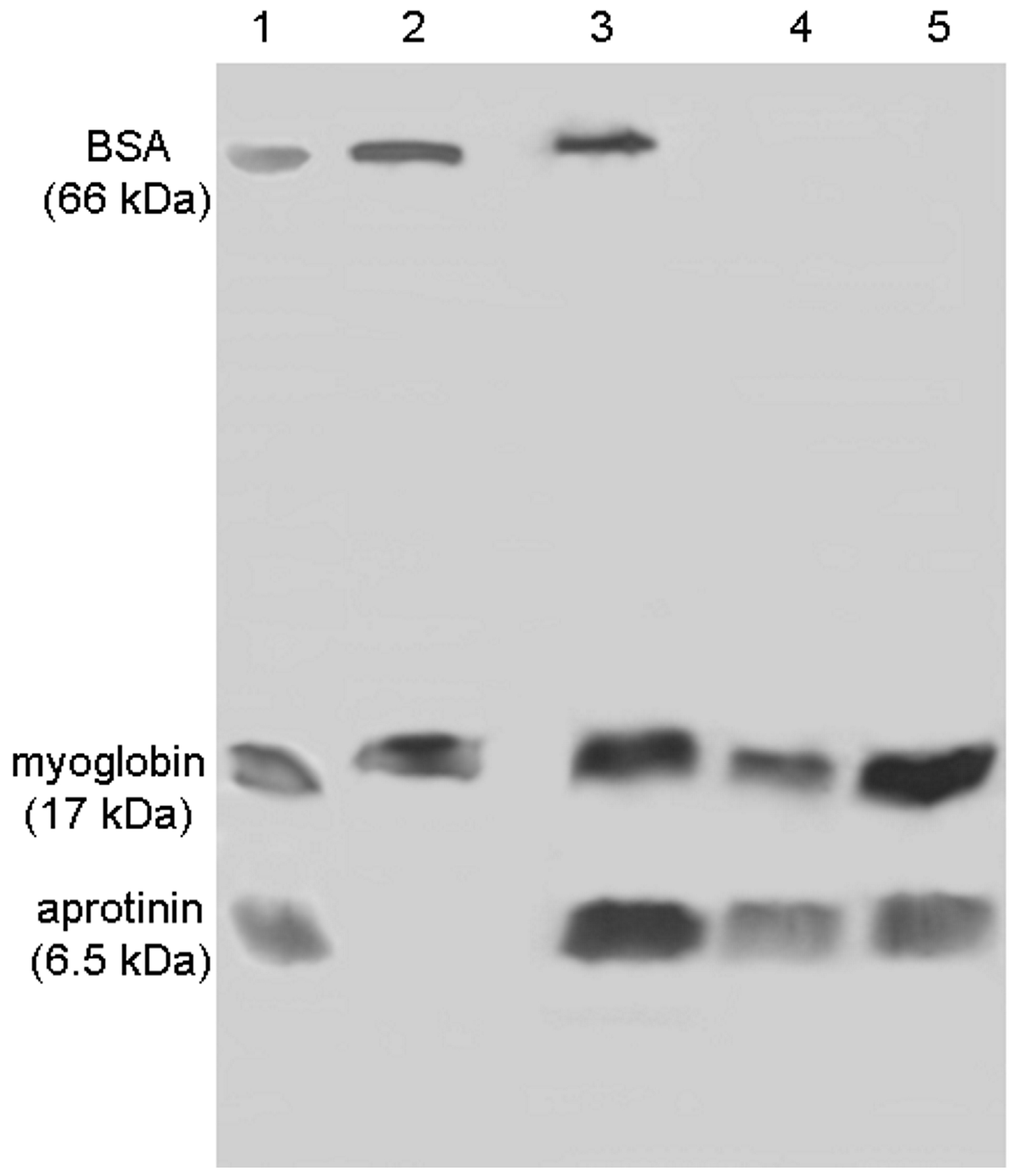 Molecules 22 01712 g006