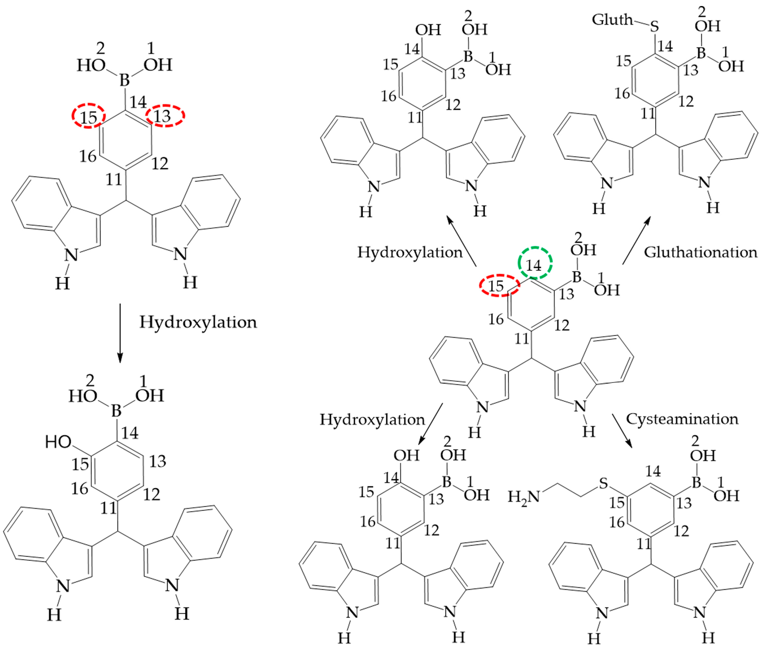 Molecules 22 01744 g010