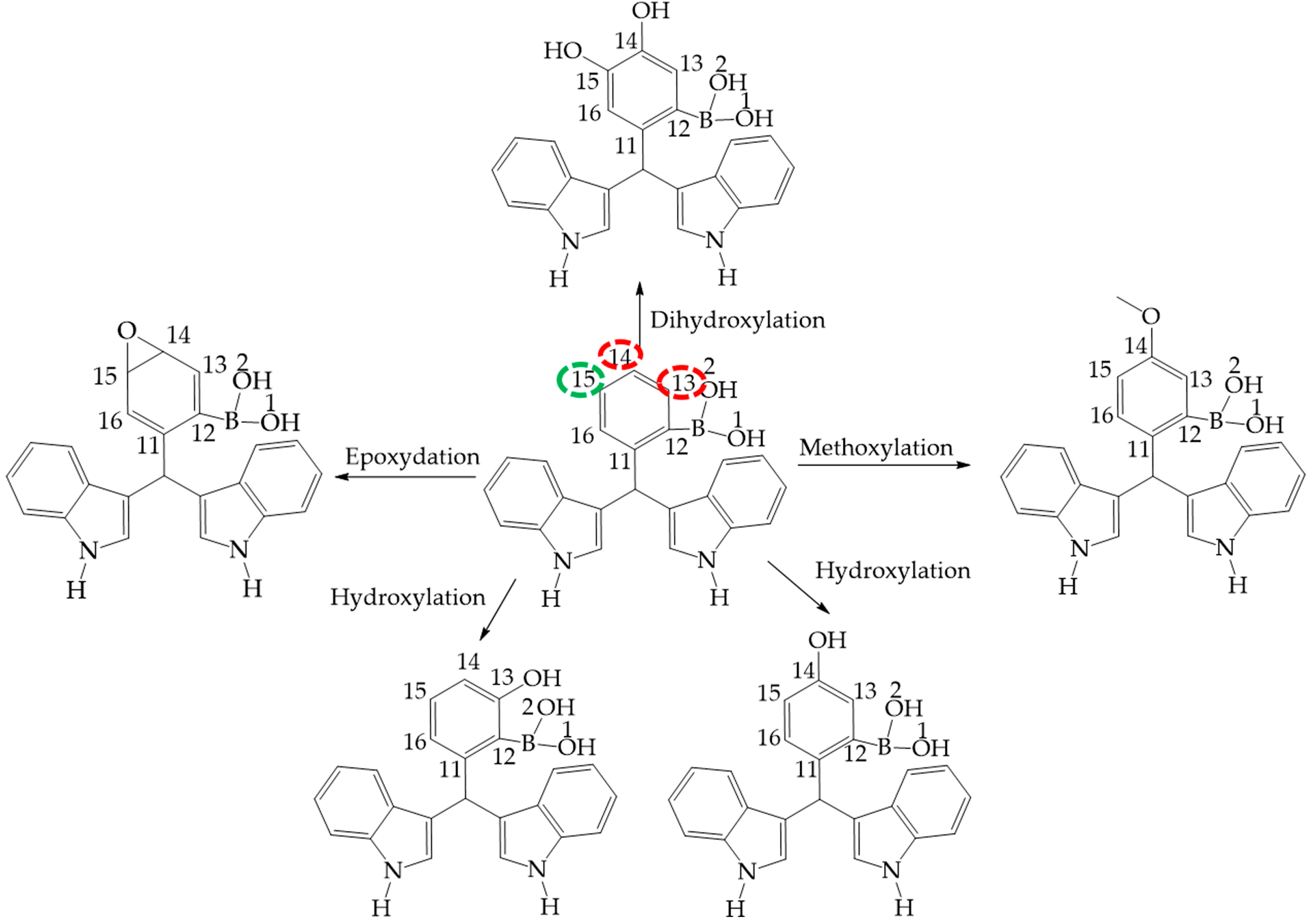 Molecules 22 01744 g011