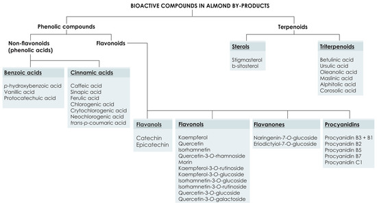 design for function and marketability design for function and marketability