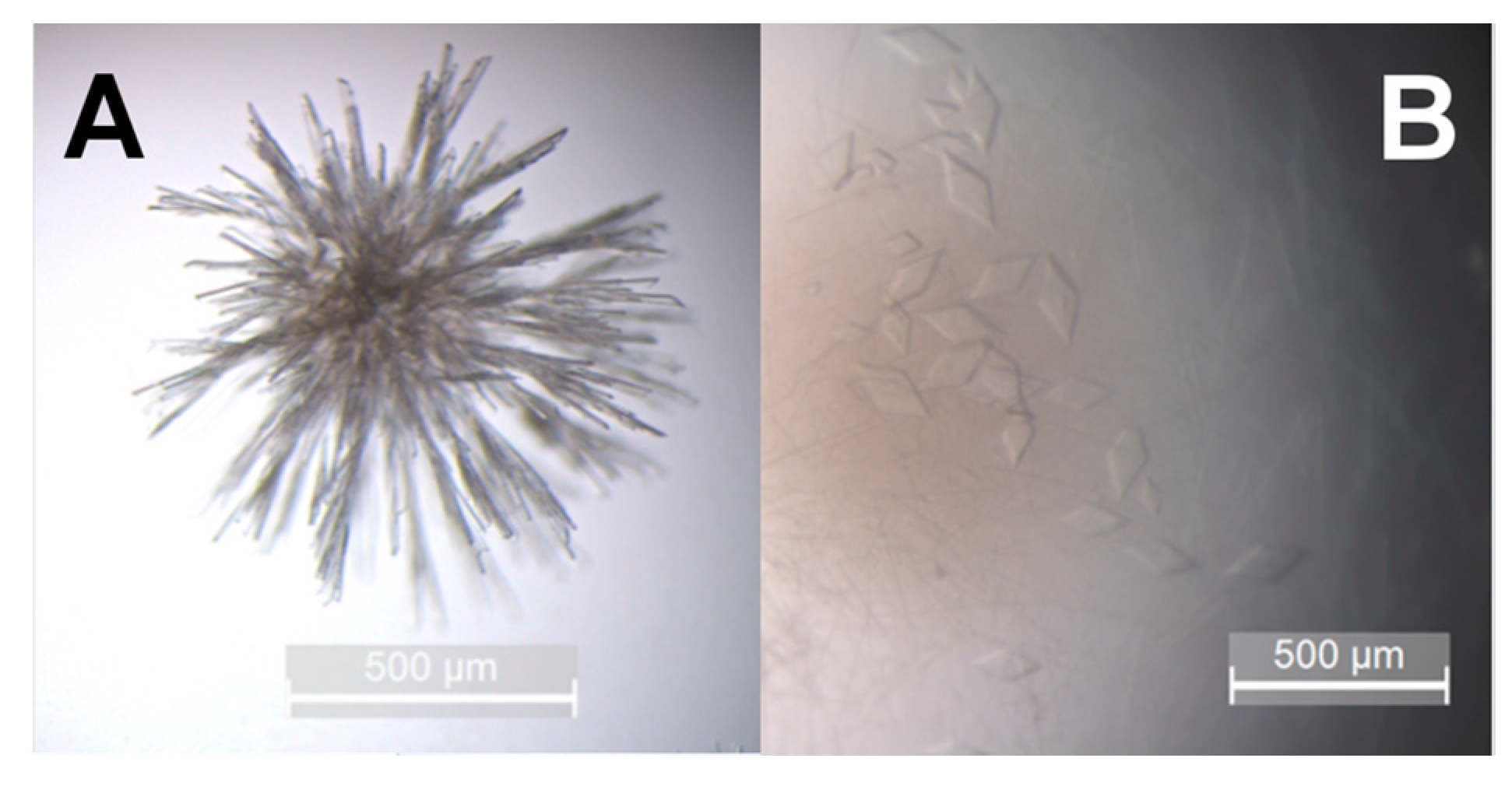 Molecules 22 01828 g005