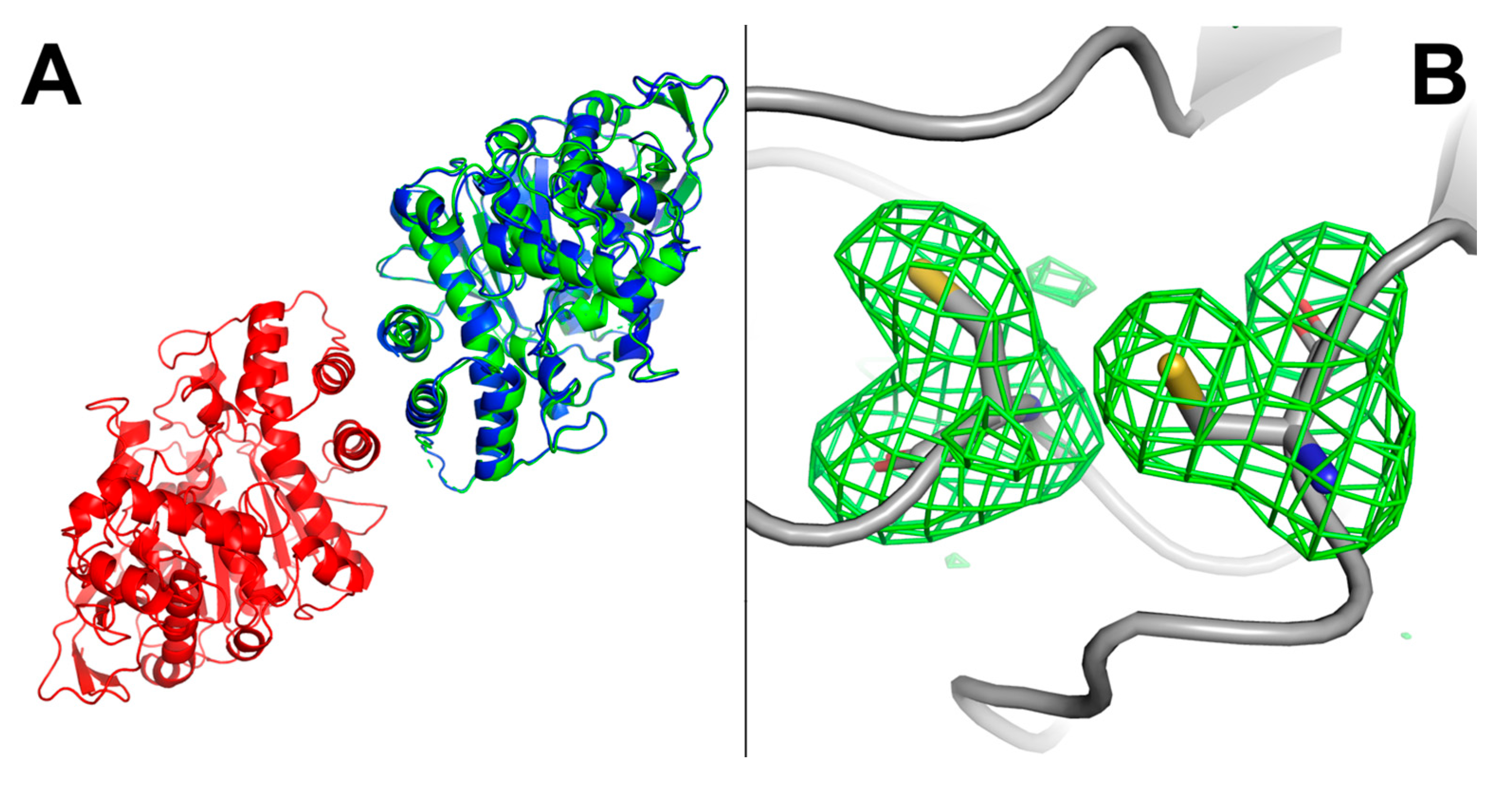 Molecules 22 01828 g006