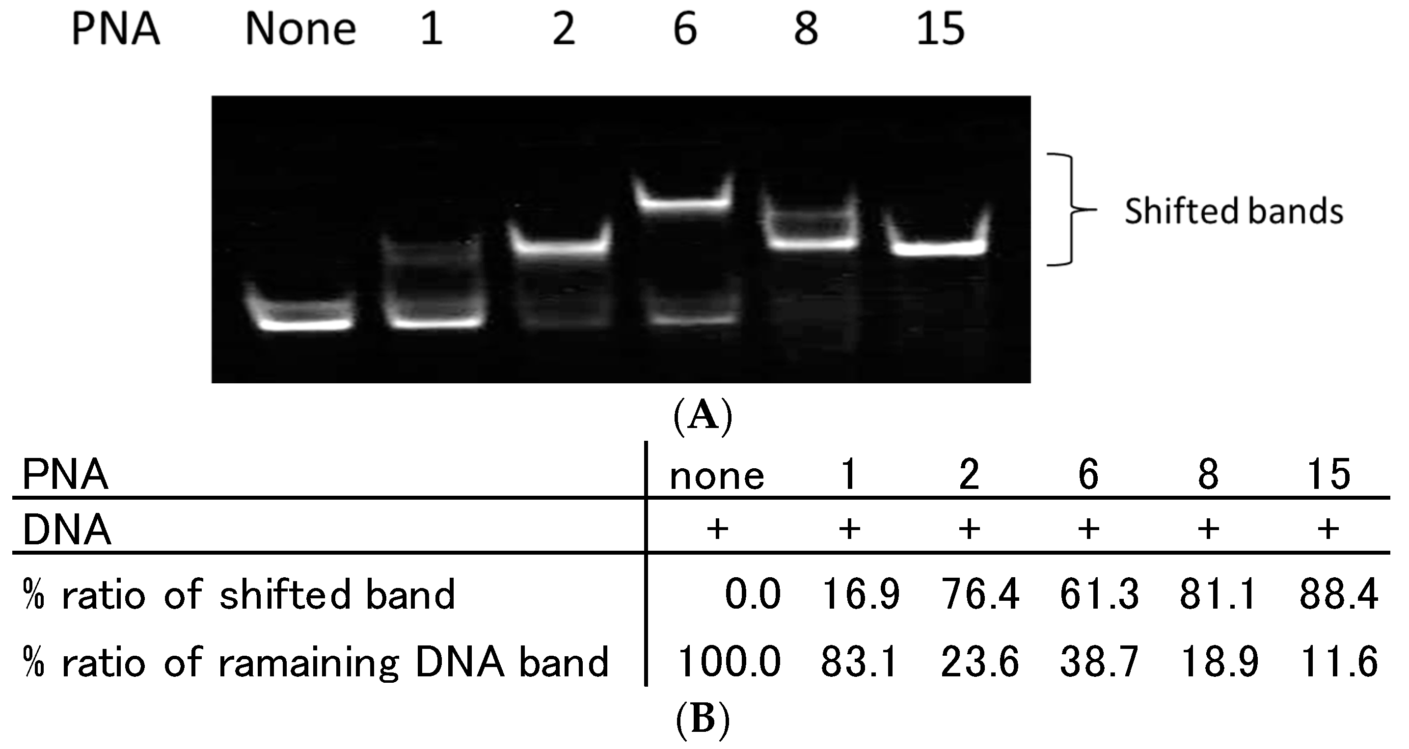 Molecules 22 01840 g005