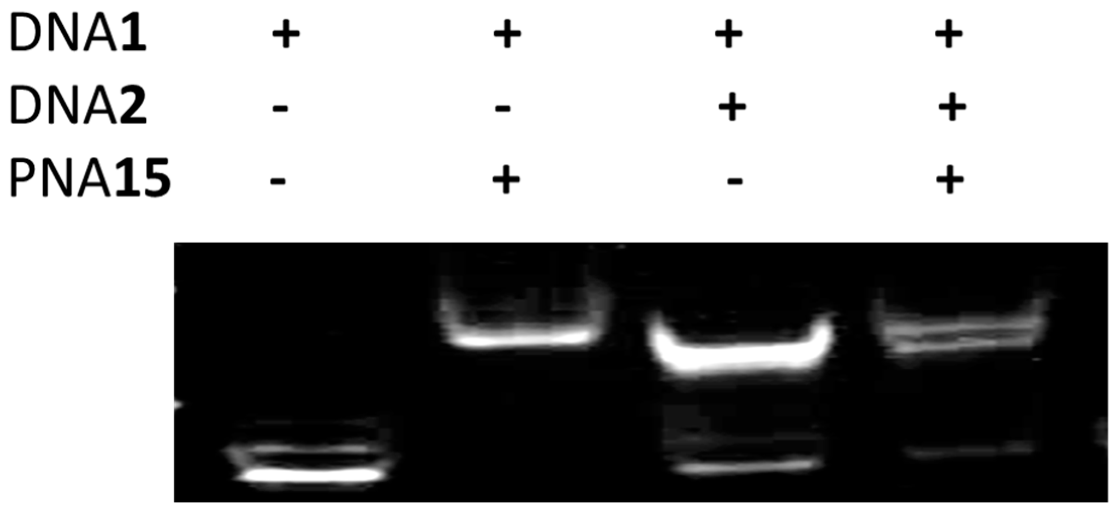 Molecules 22 01840 g006