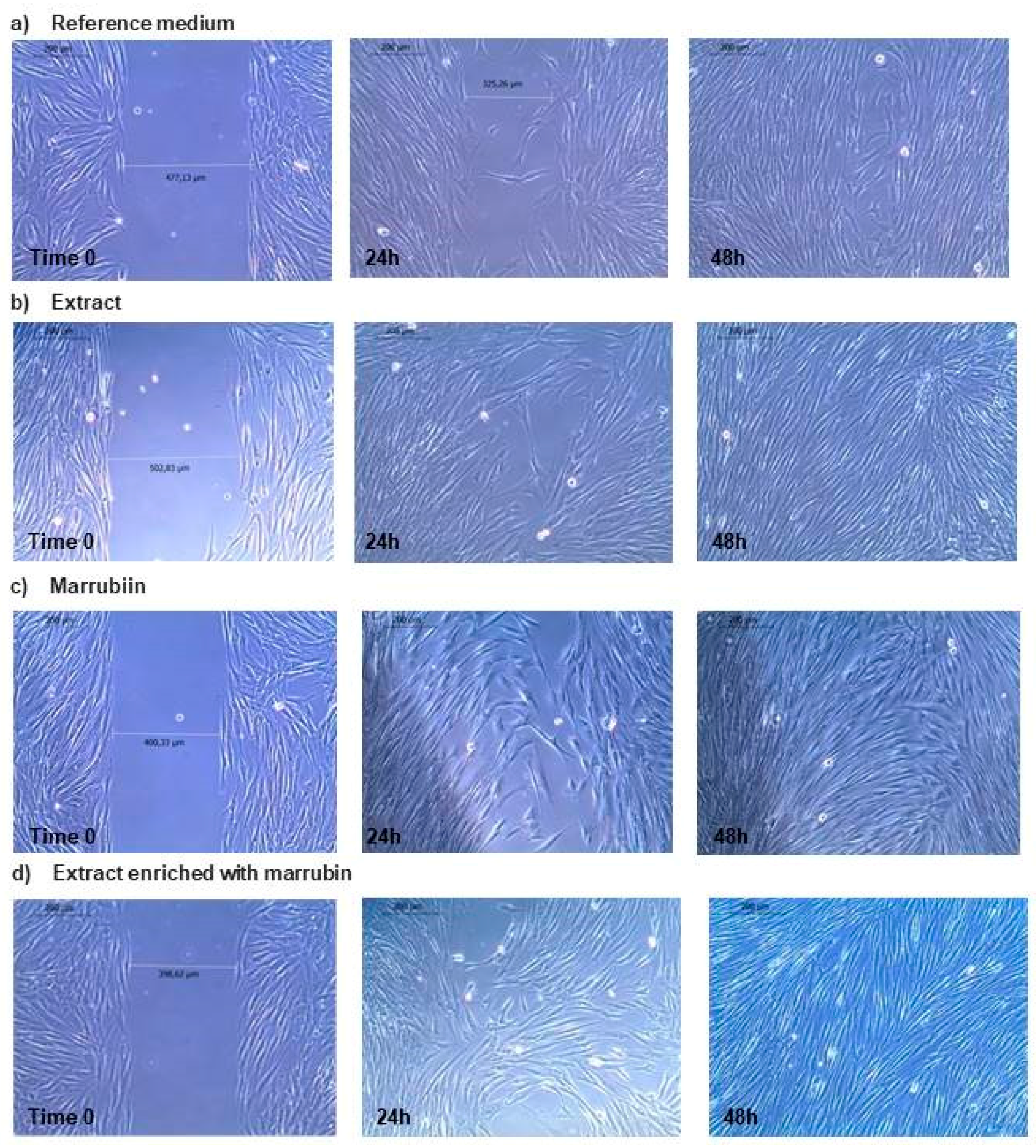 Molecules 22 01851 g008