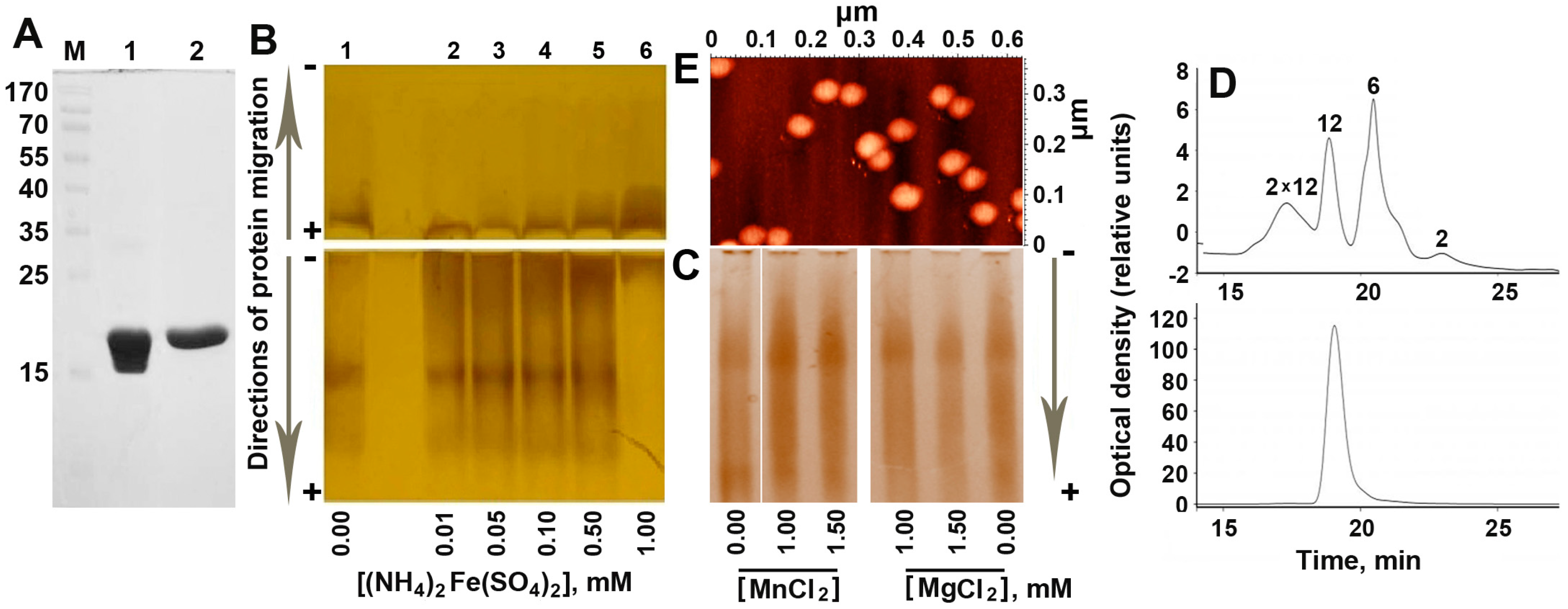 Molecules 22 01904 g001