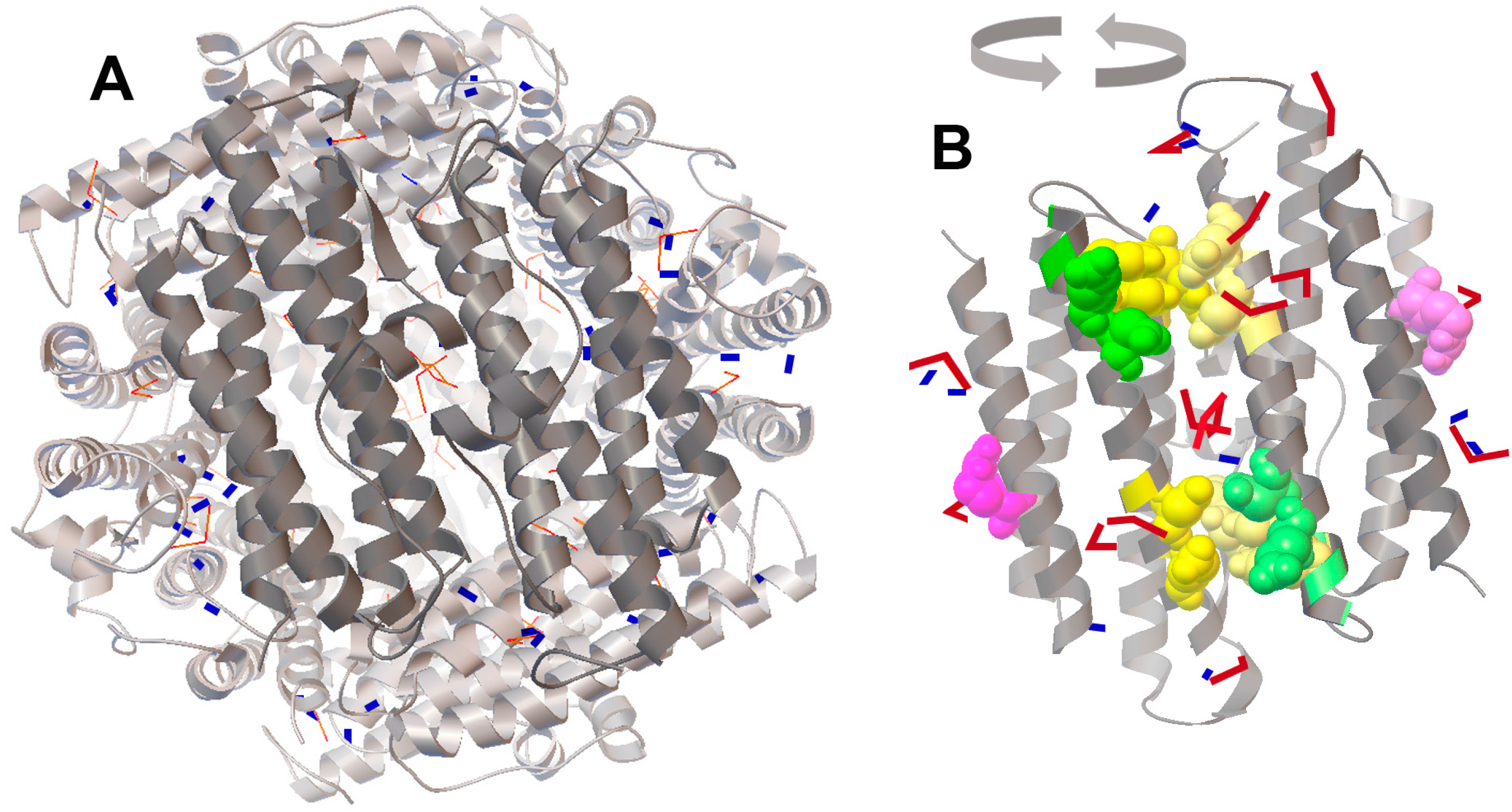 Molecules 22 01904 g003