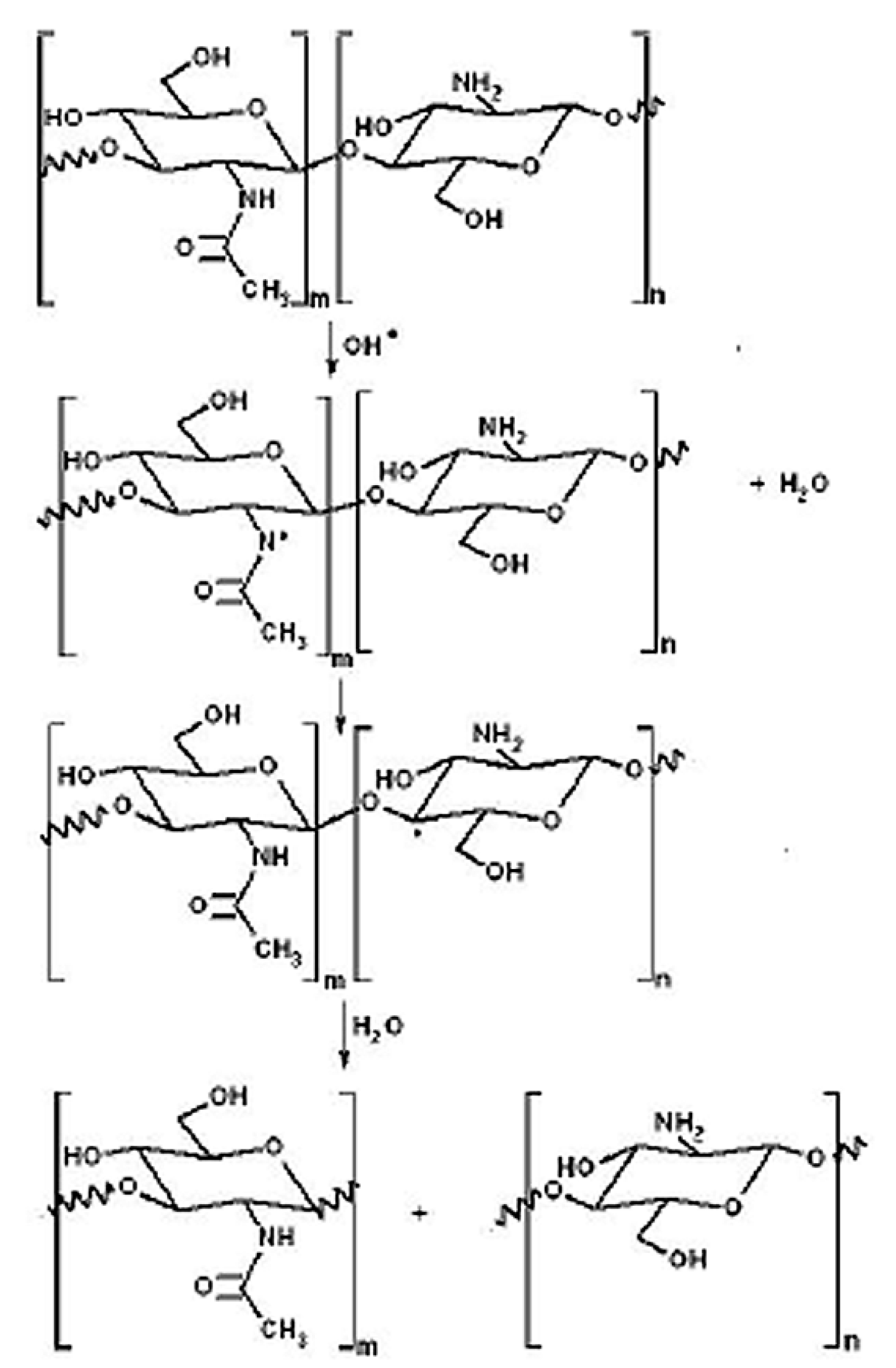 Molecules 22 01908 g011