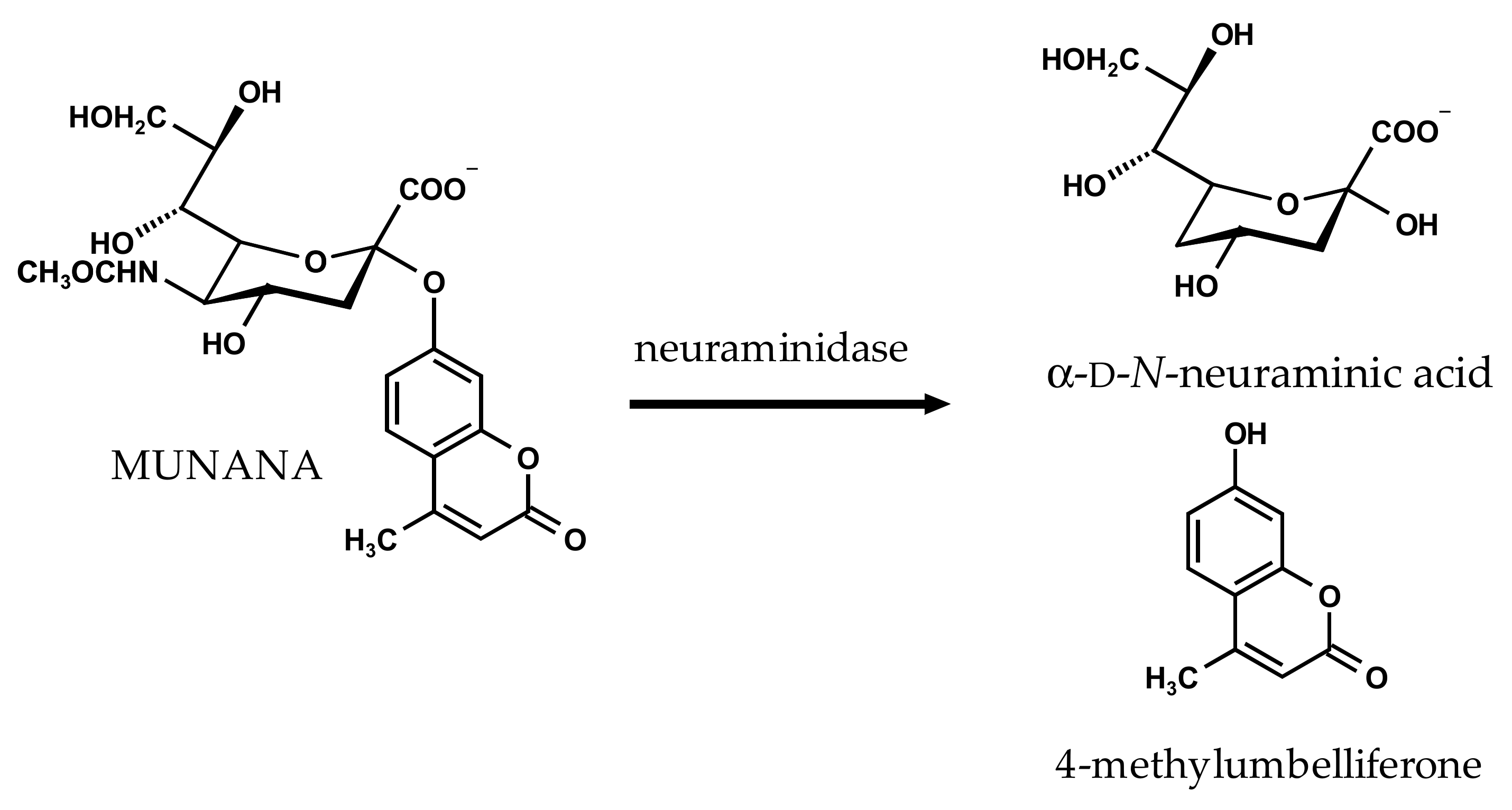 Molecules | Free Full-Text | Different Inhibitory Potencies of ...
