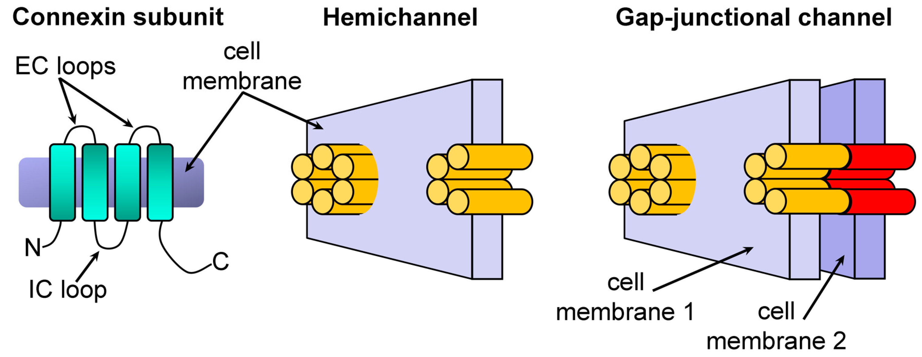 buy carbon dioxide and organometallics