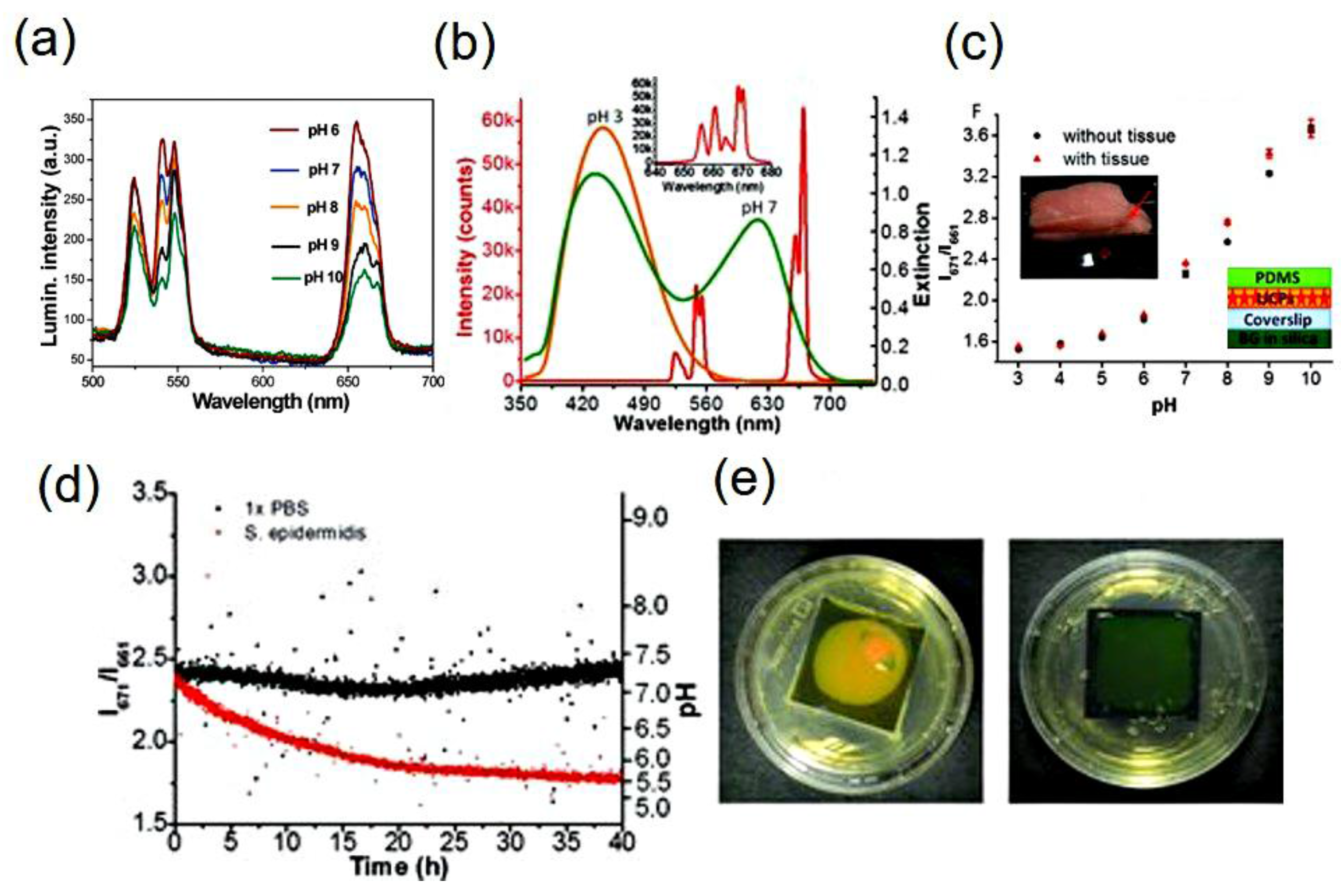 Molecules 22 02064 g003