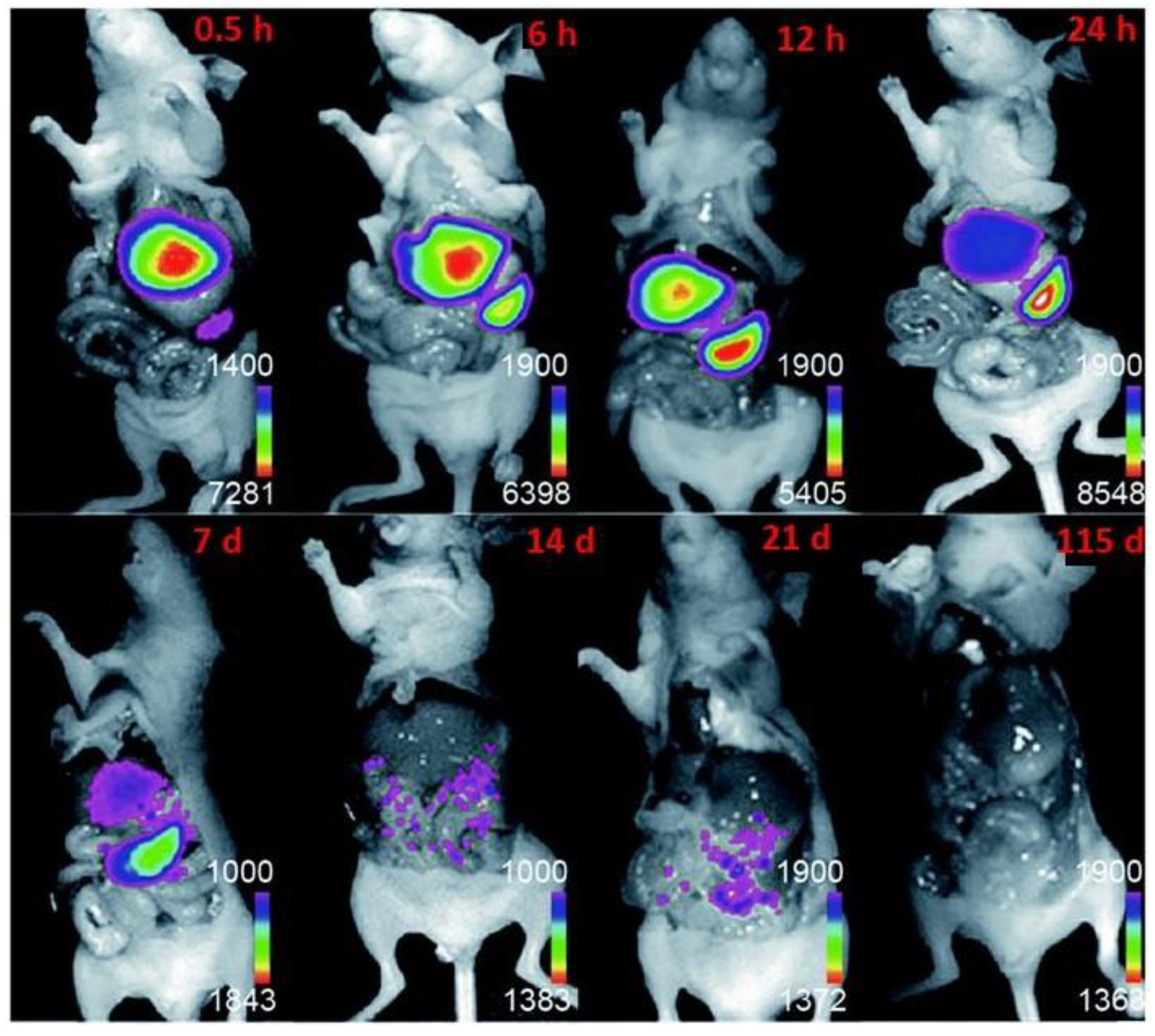 Molecules 22 02064 g011