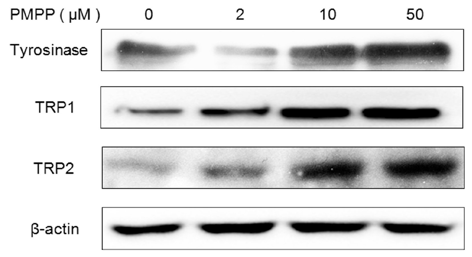 Molecules 22 02077 g004
