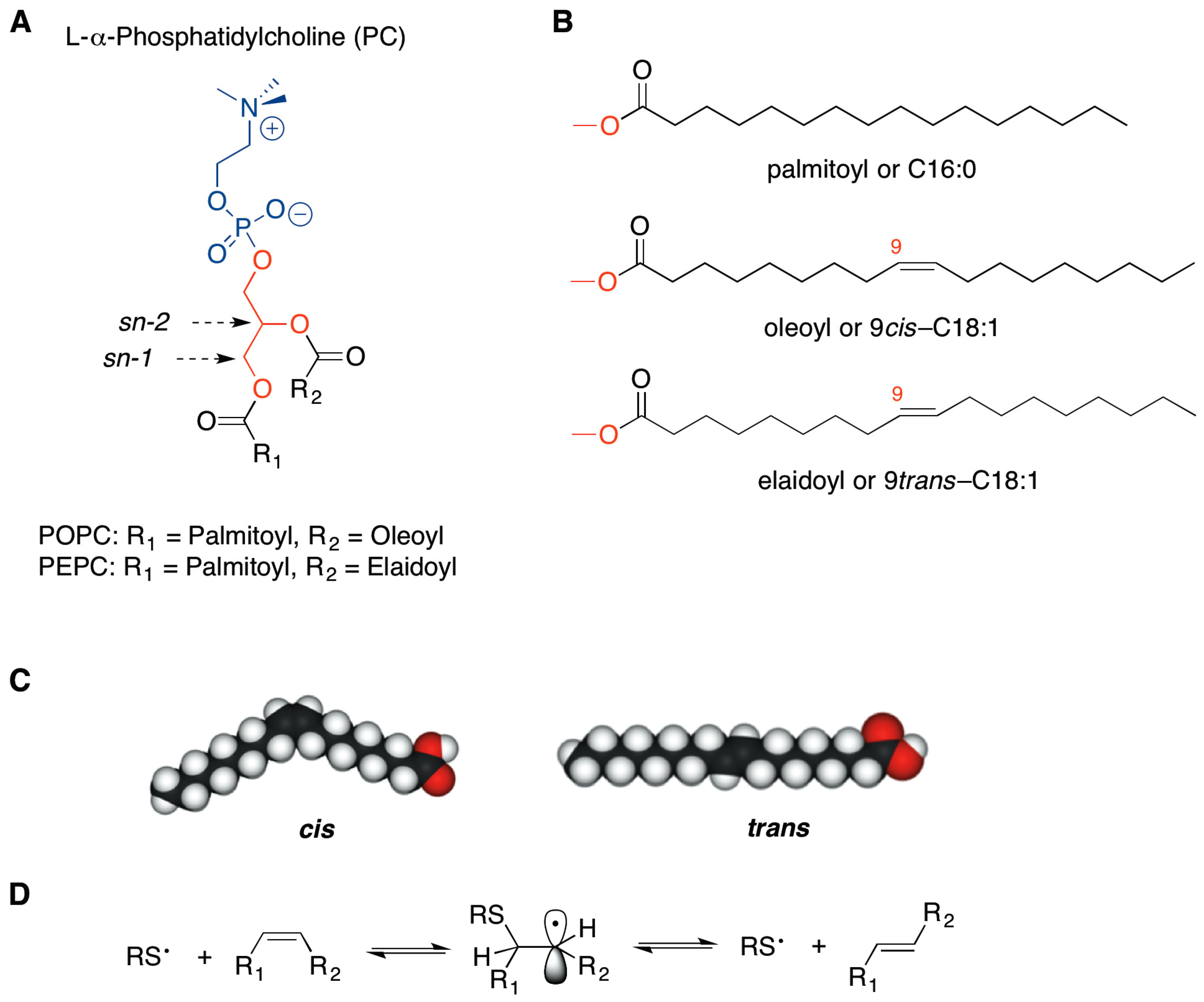 Molecules 22 02082 g001
