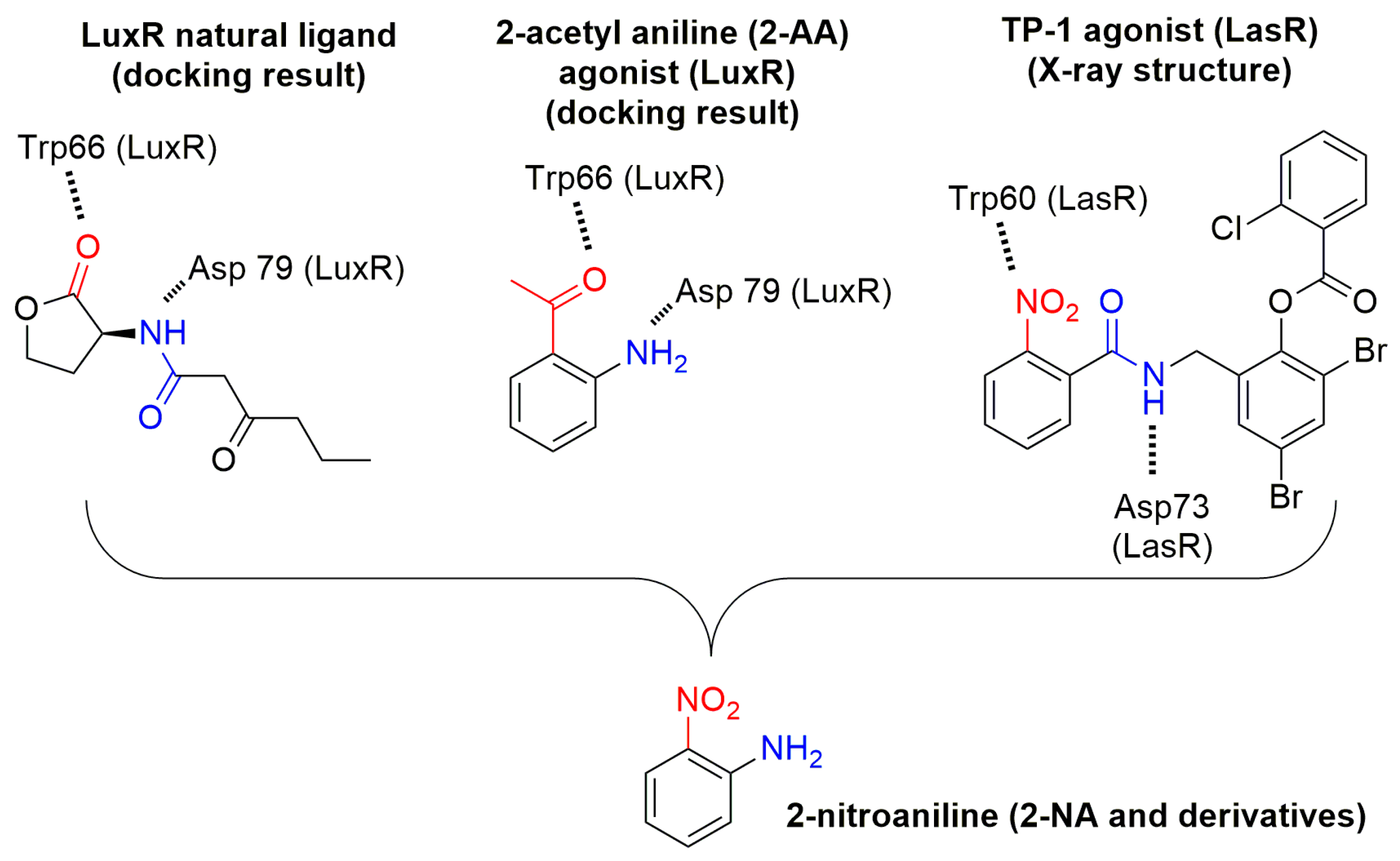 Molecules 22 02090 g001