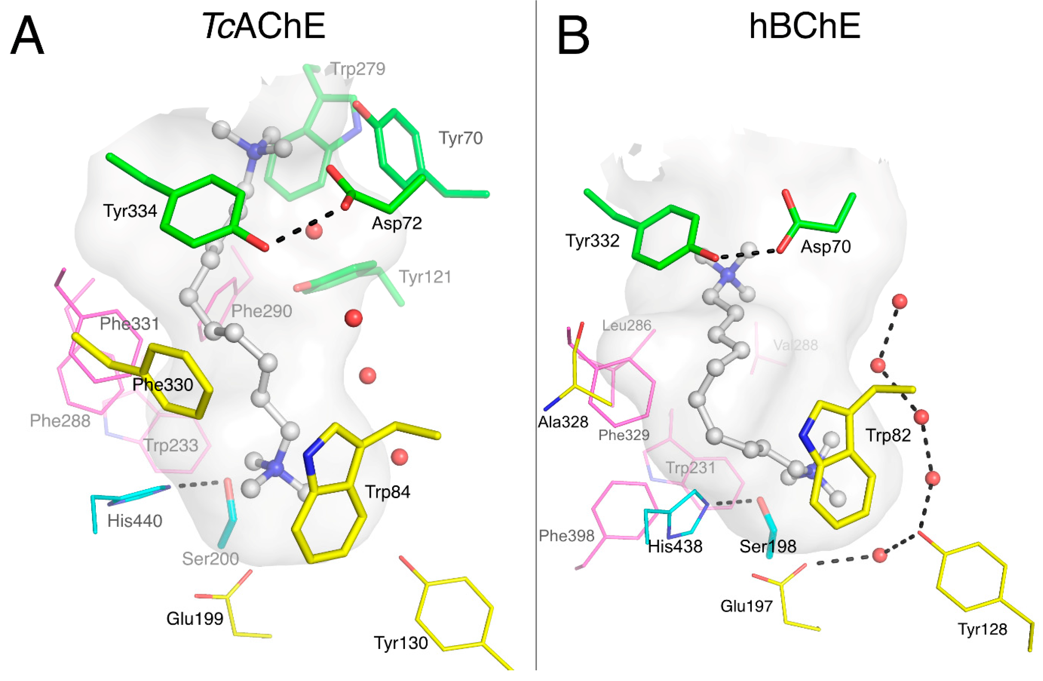 Molecules 22 02098 g003
