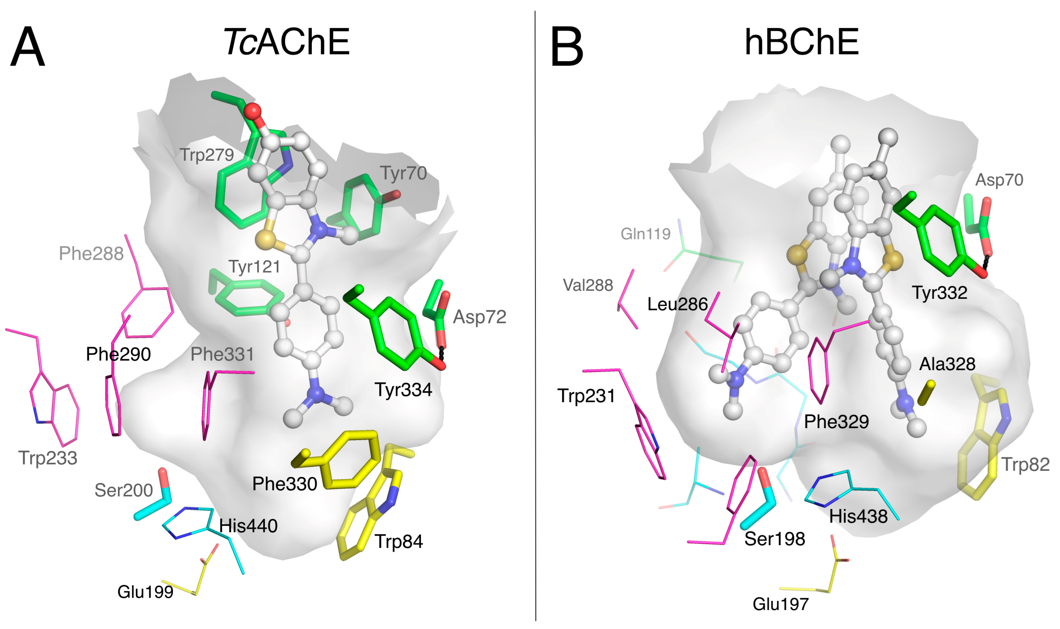 Molecules 22 02098 g004