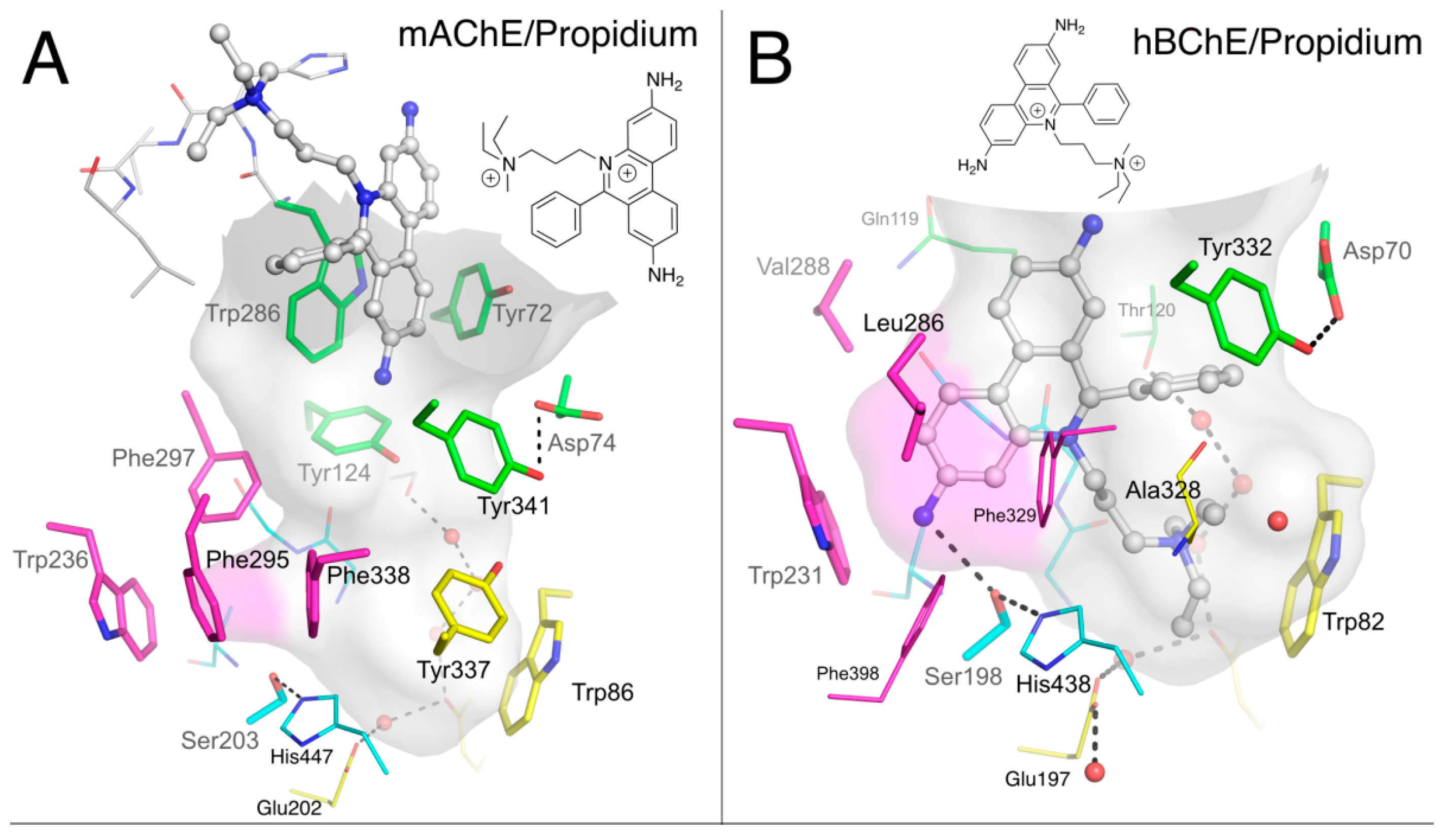 Molecules 22 02098 g005a