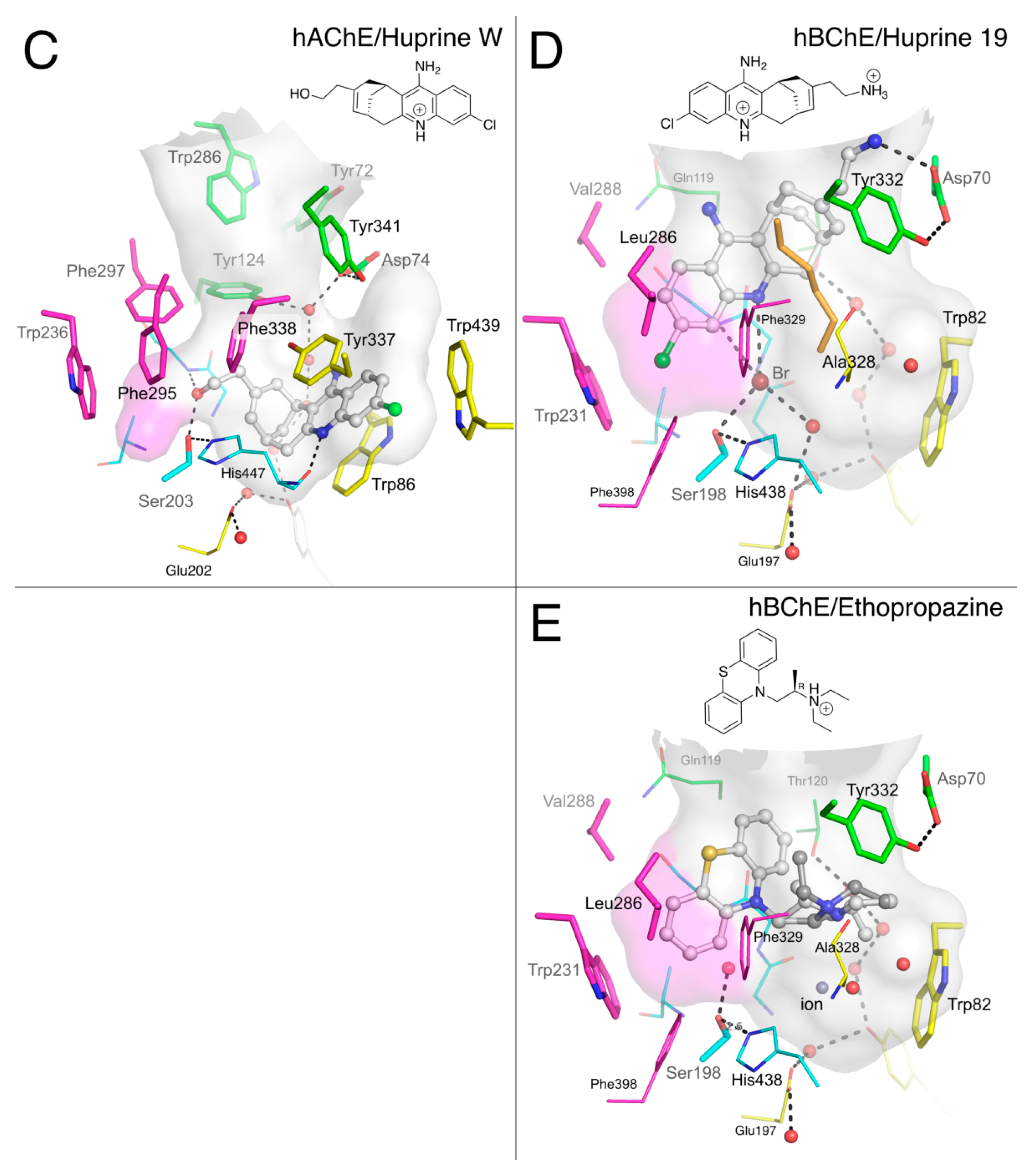 Molecules 22 02098 g005b