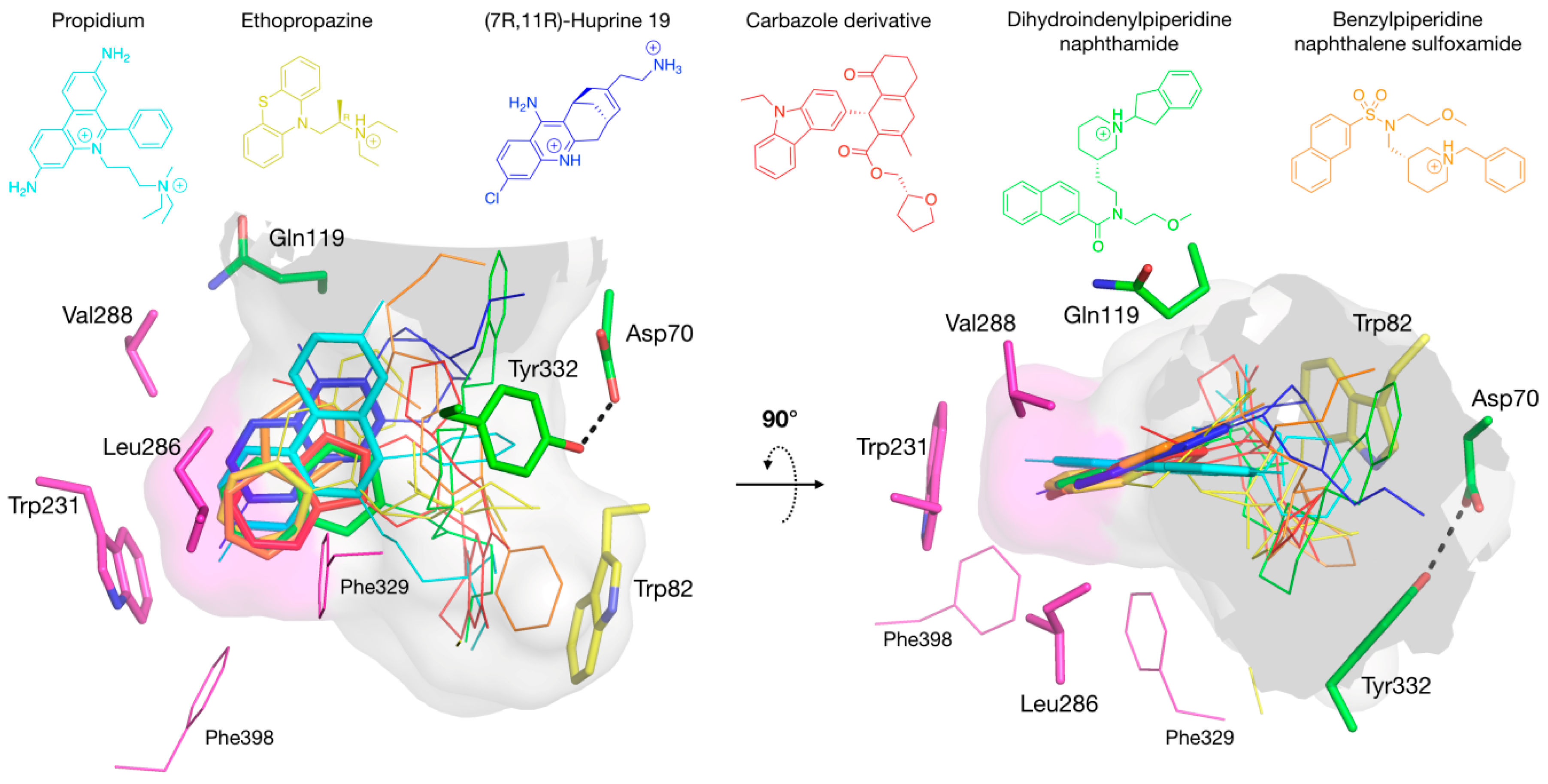 Molecules 22 02098 g008