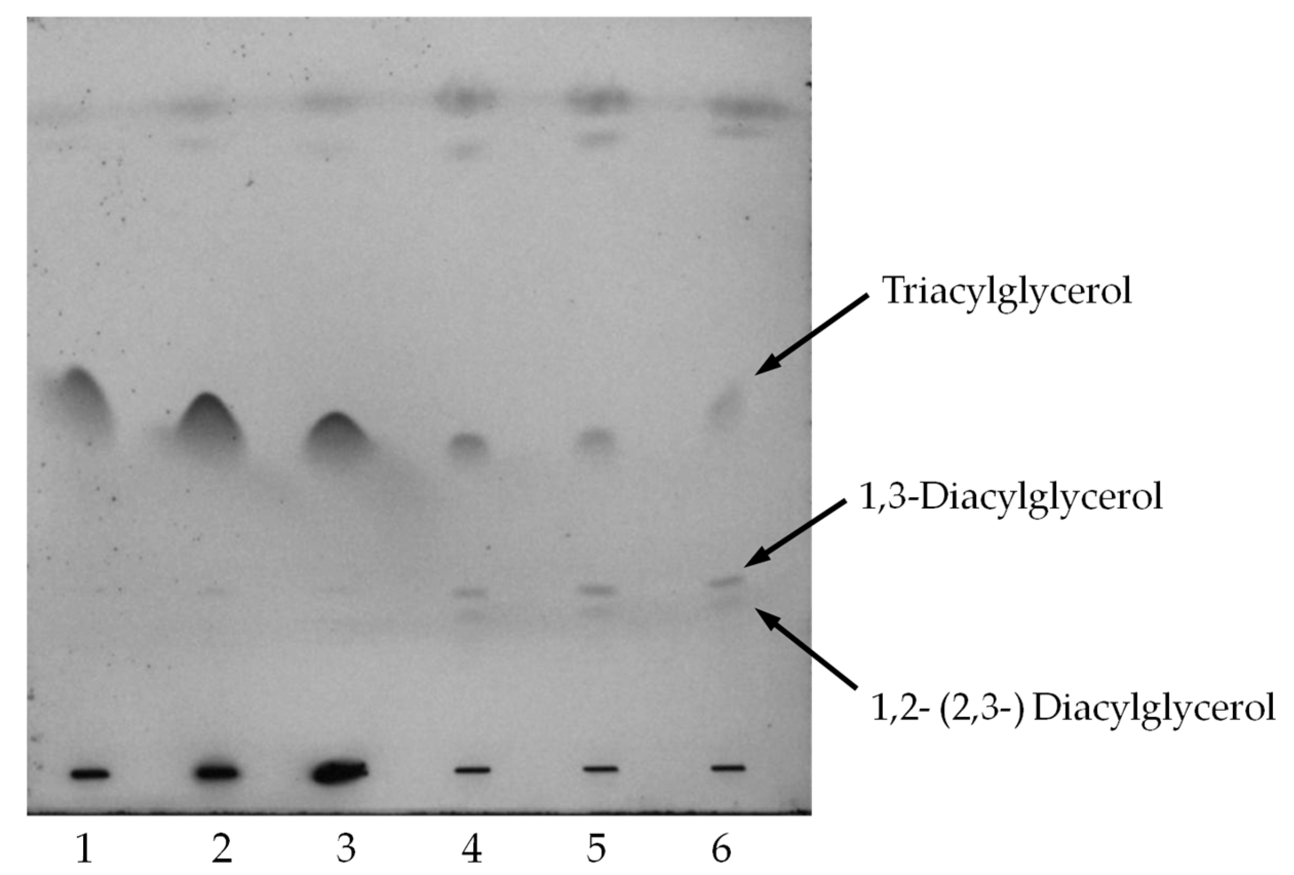 Molecules 22 02106 g004