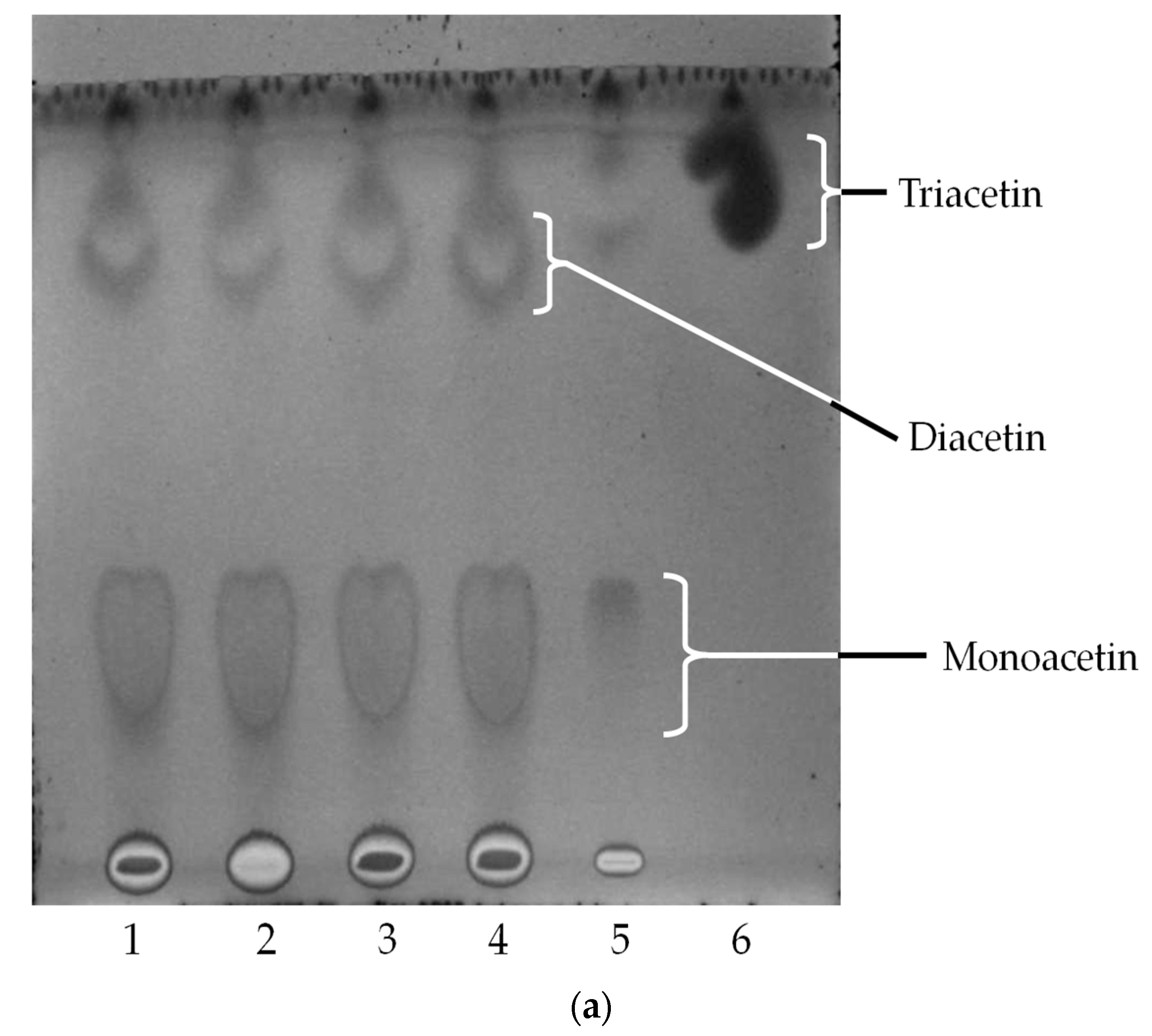 Molecules 22 02106 g005a