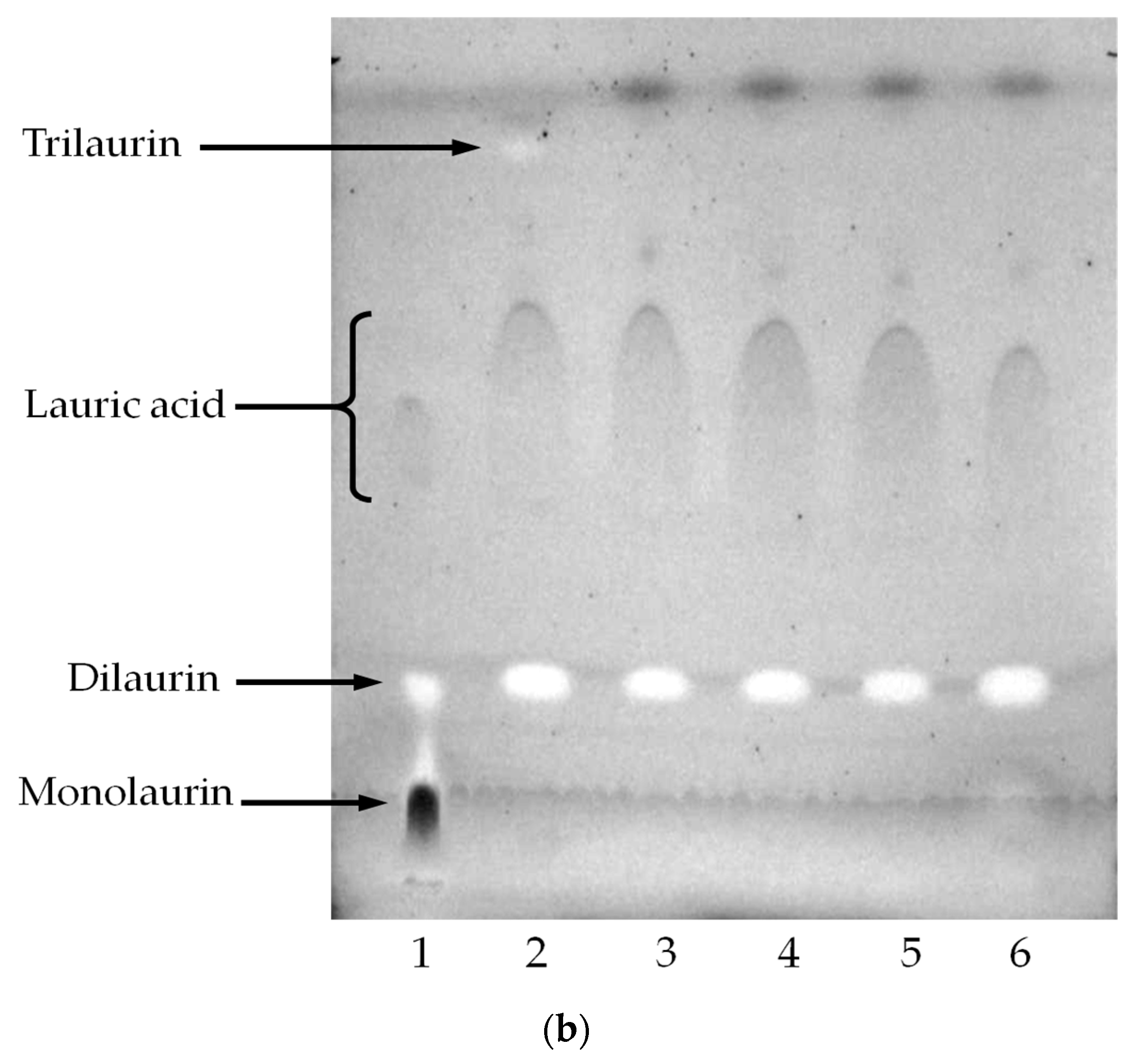 Molecules 22 02106 g005b