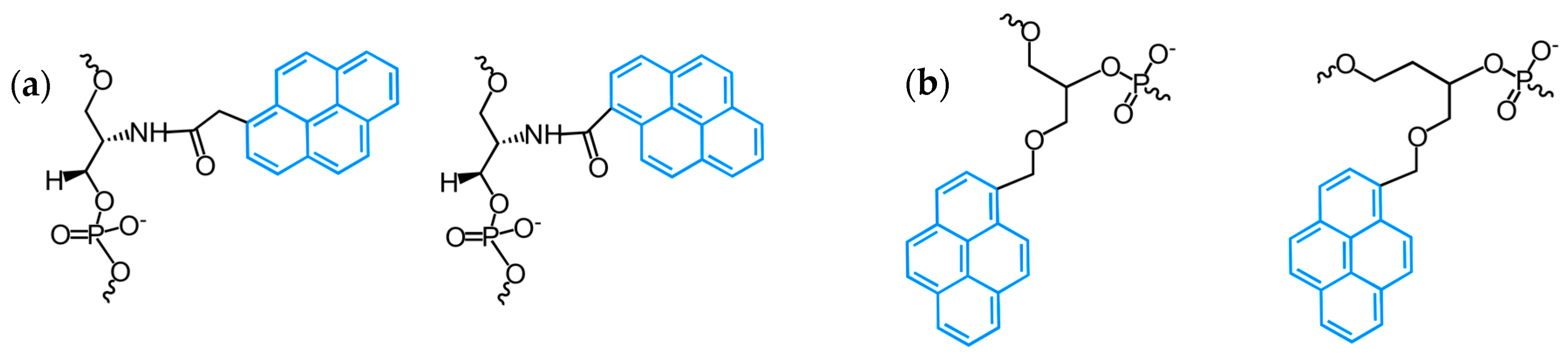 pictures of nucleic acid