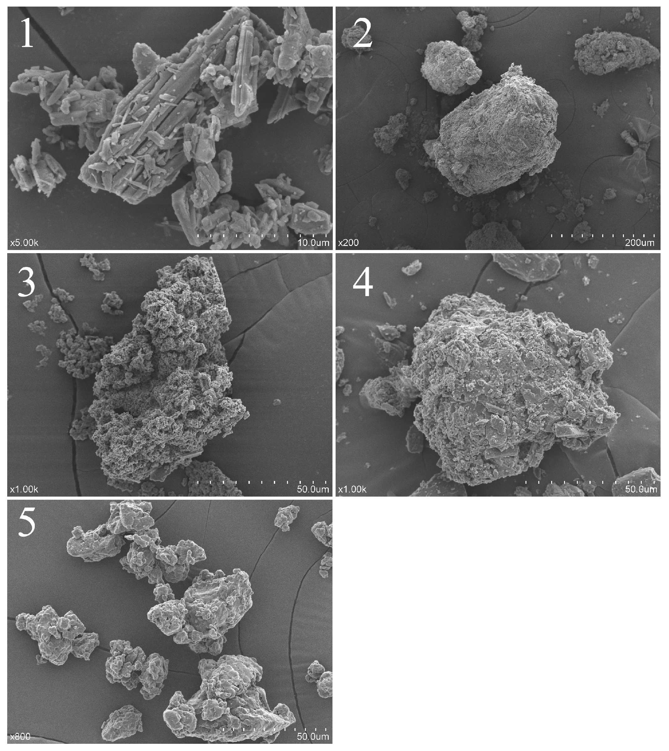 Molecules 23 00020 g004