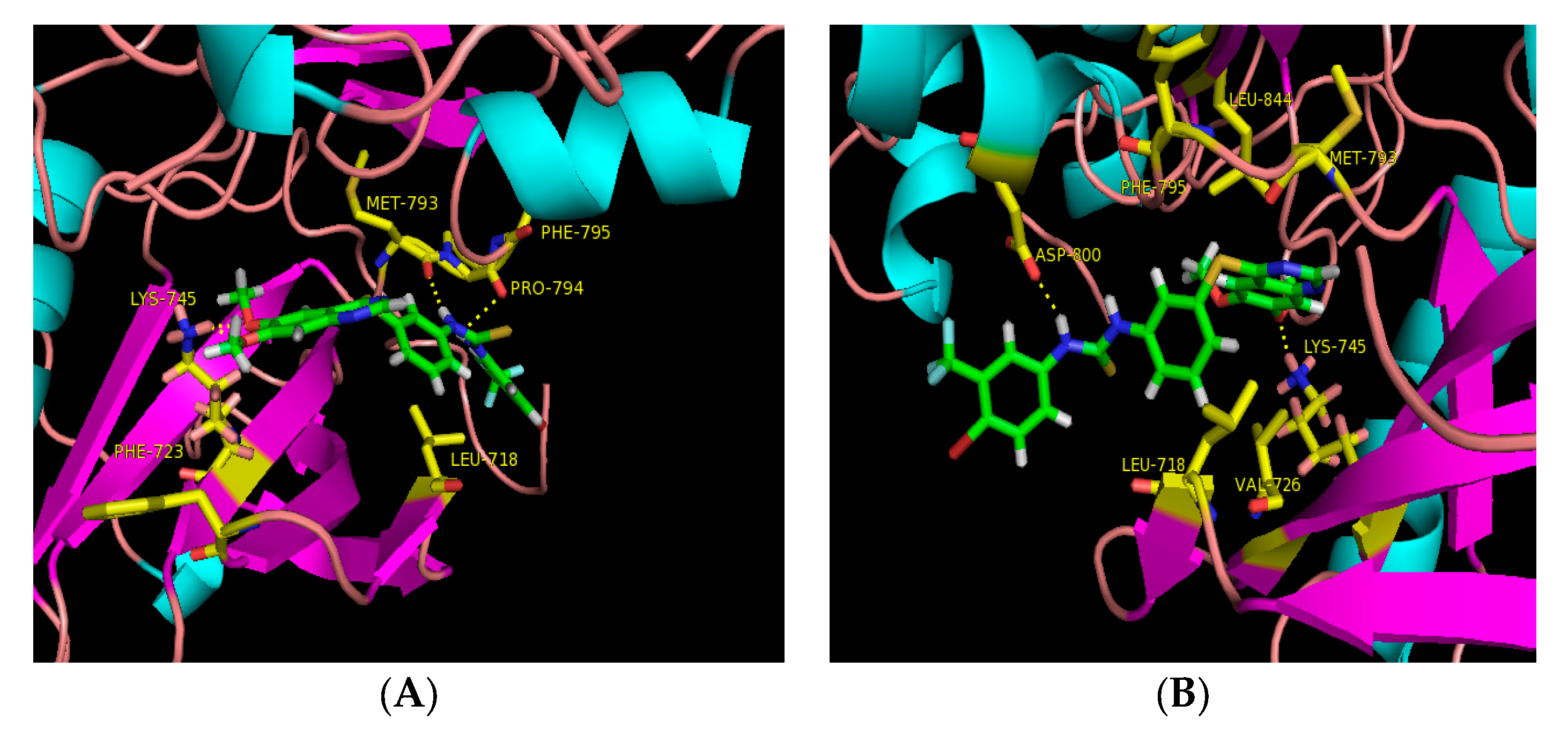 Molecules 23 00024 g003