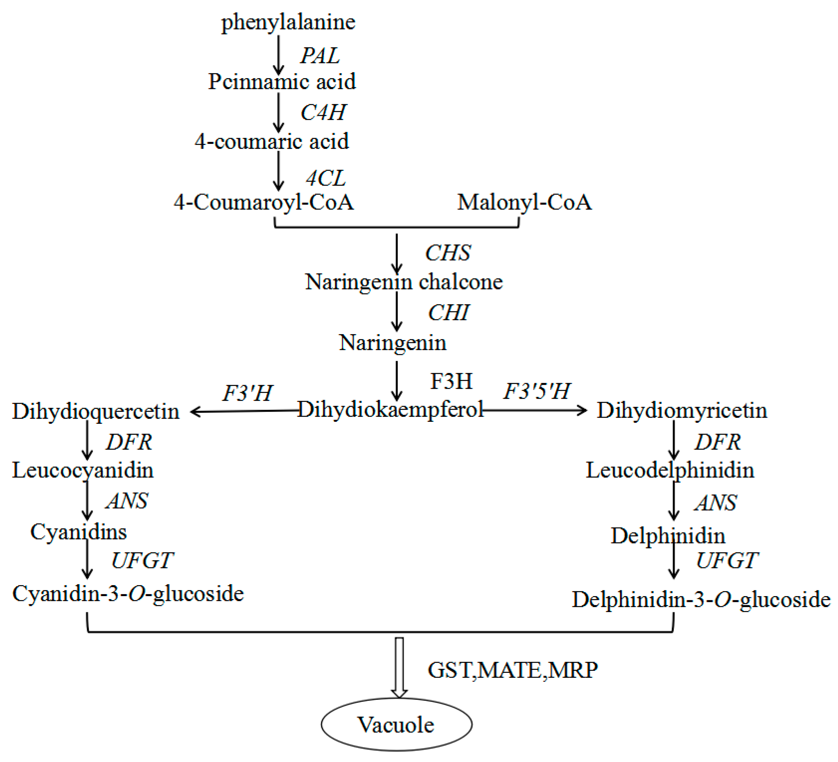 Molecules 23 00025 g006