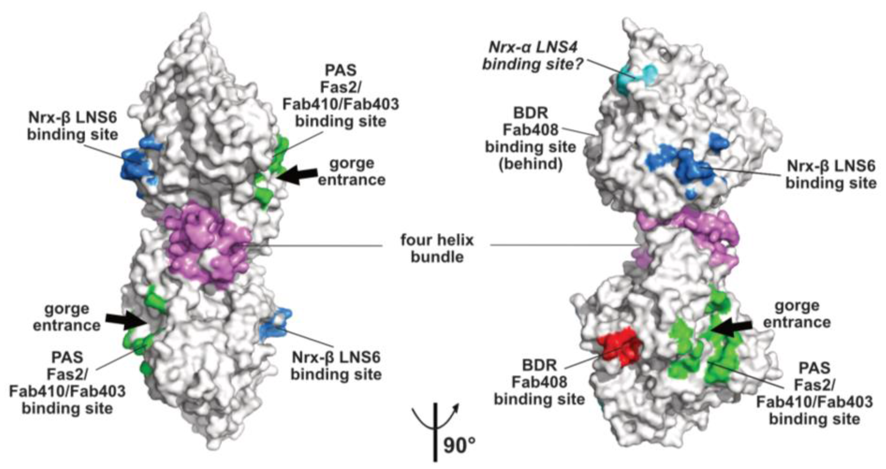 Molecules 23 00035 g002