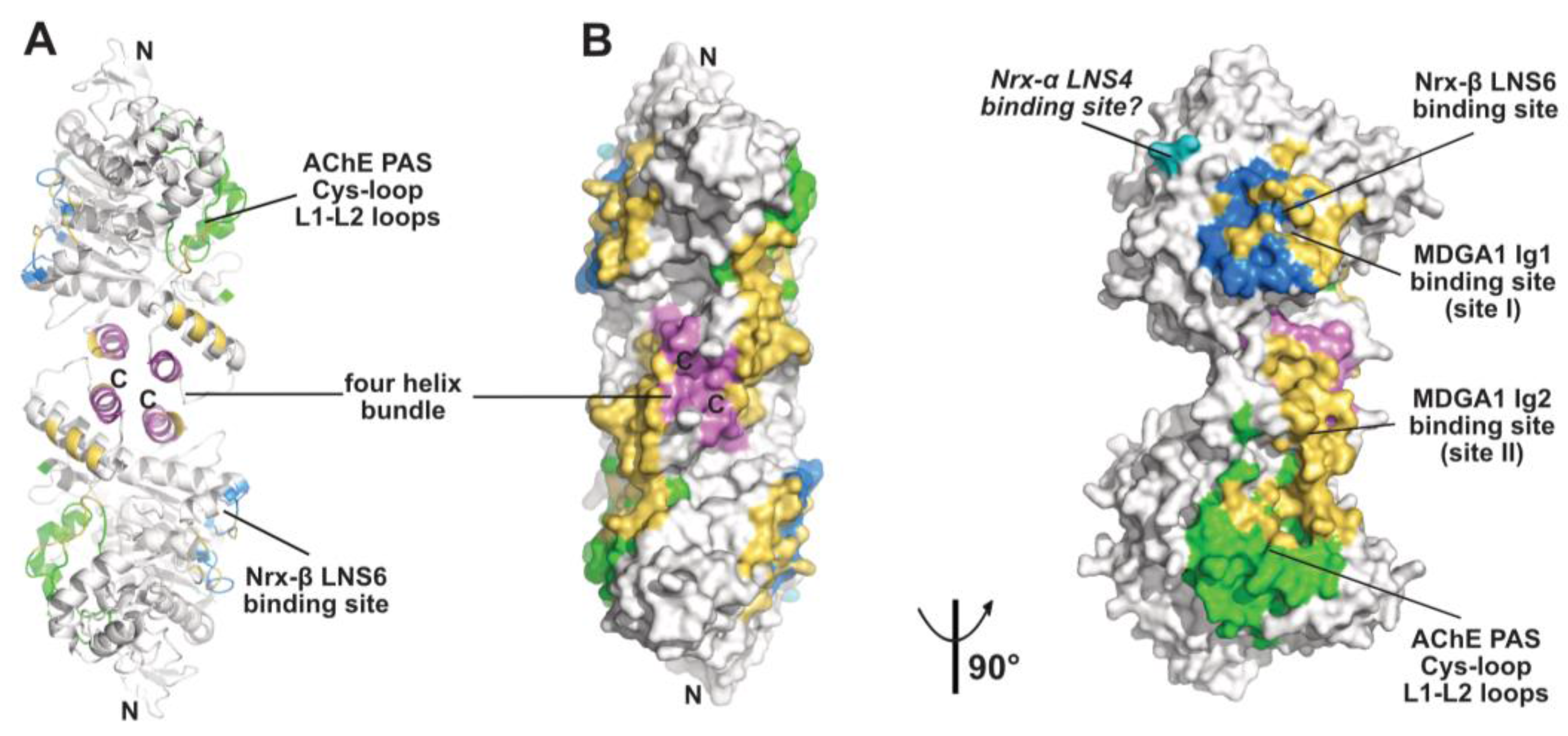 Molecules 23 00035 g003
