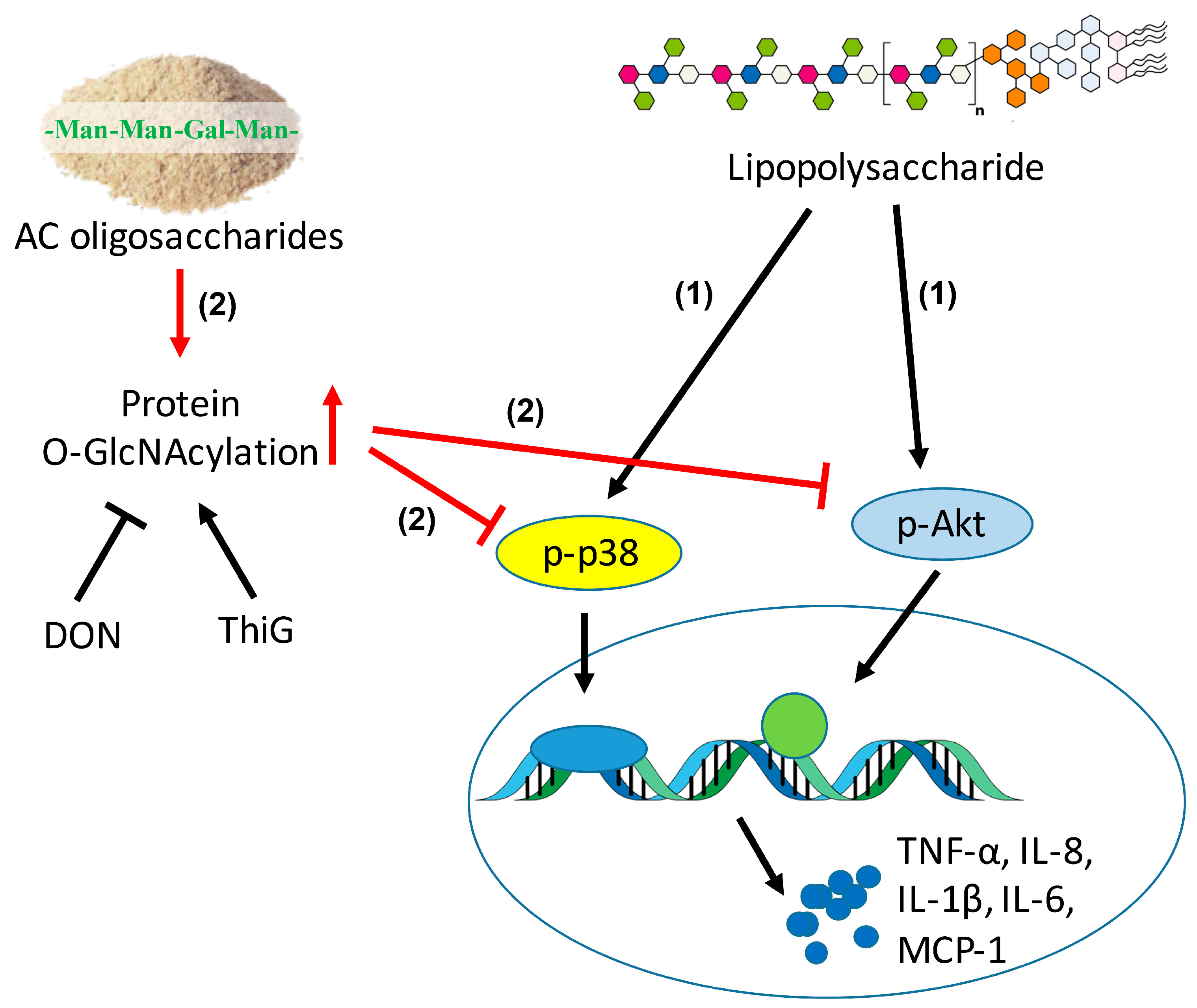 Molecules 23 00051 g008