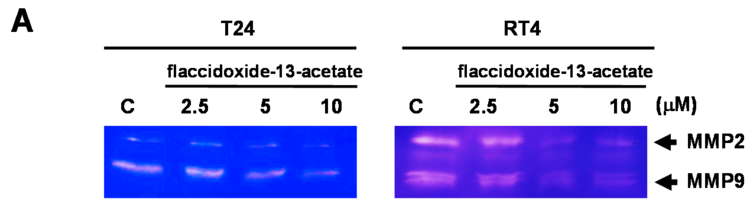 Molecules 23 00058 g003a