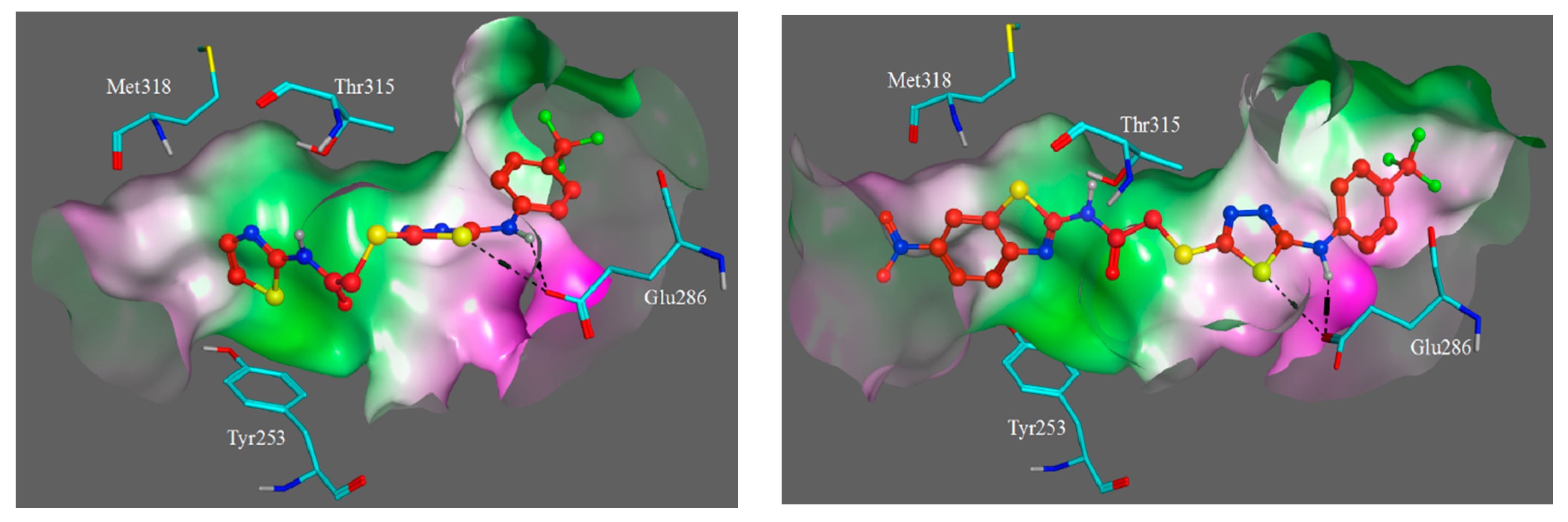 Molecules 23 00059 g007