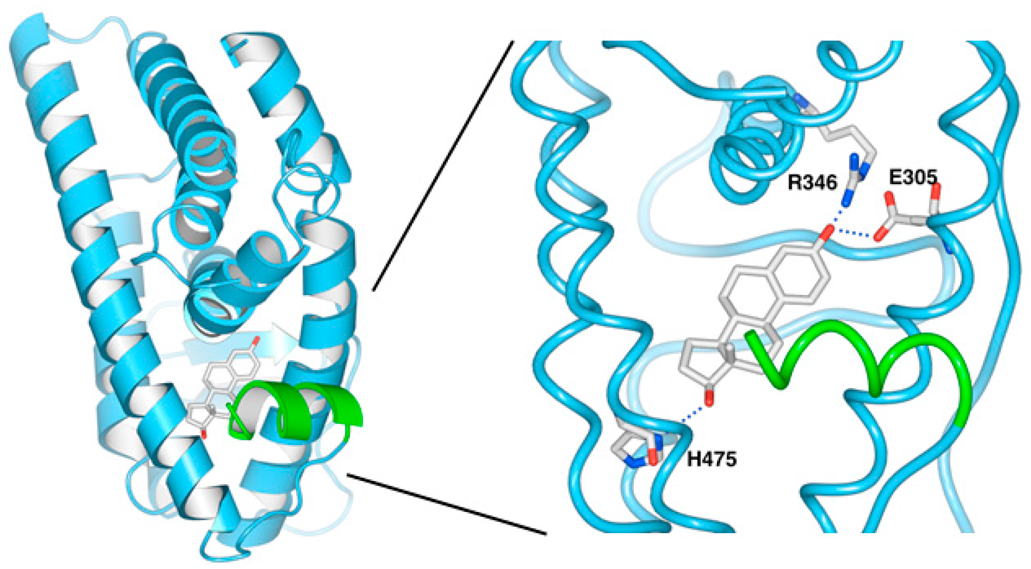 Molecules 23 00074 g004