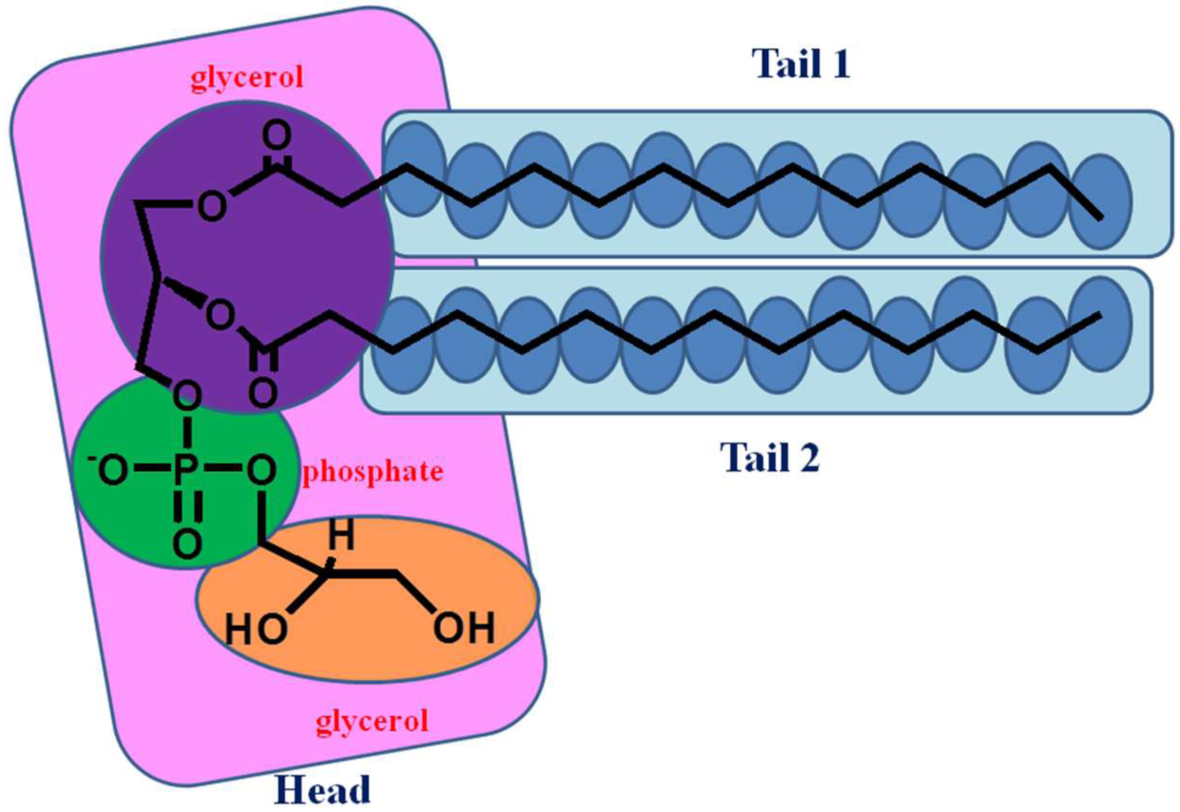 Molecules 23 00077 g010
