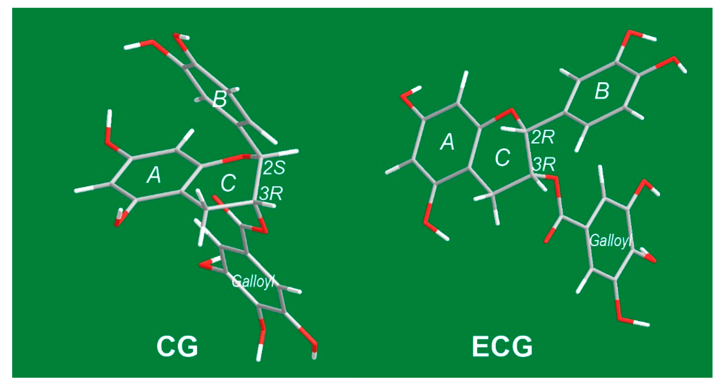 Molecules 23 00179 g005