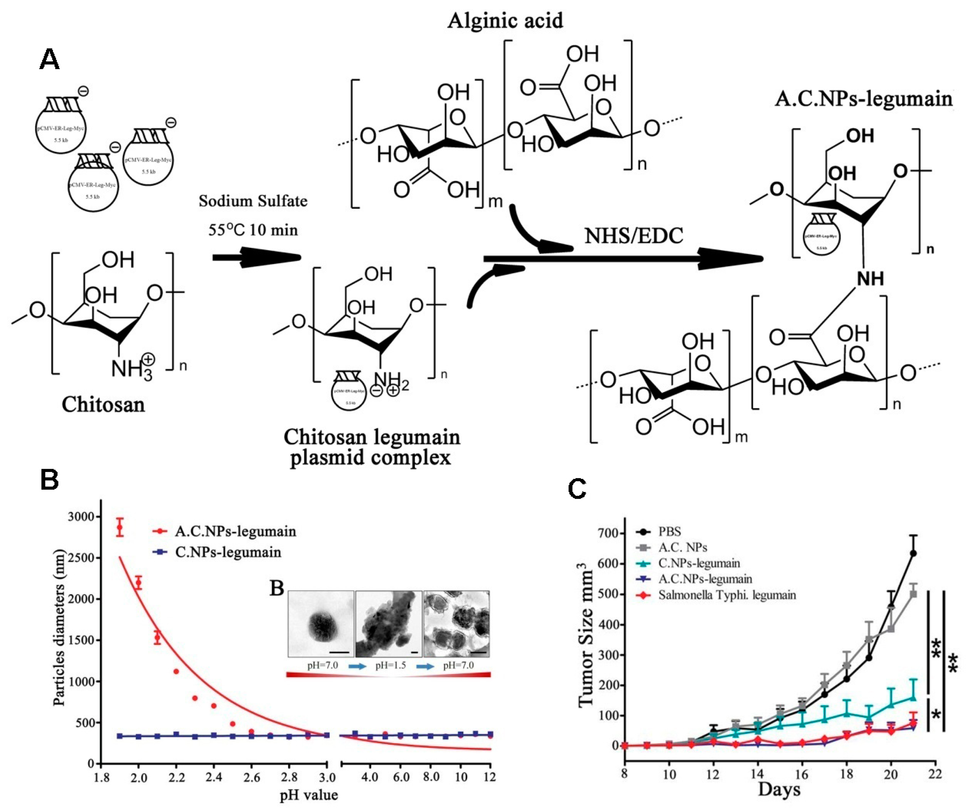 Molecules 23 00229 g018