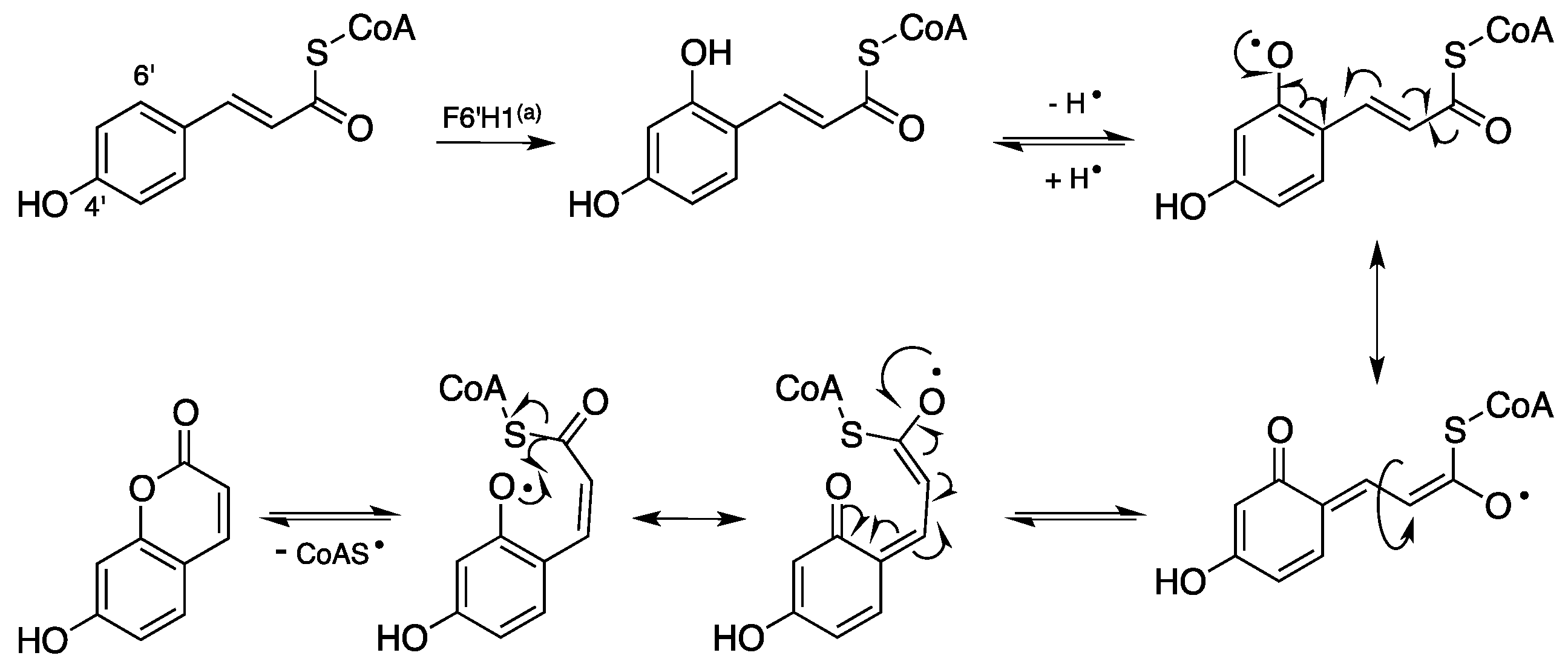 Molecules 23 00250 g004
