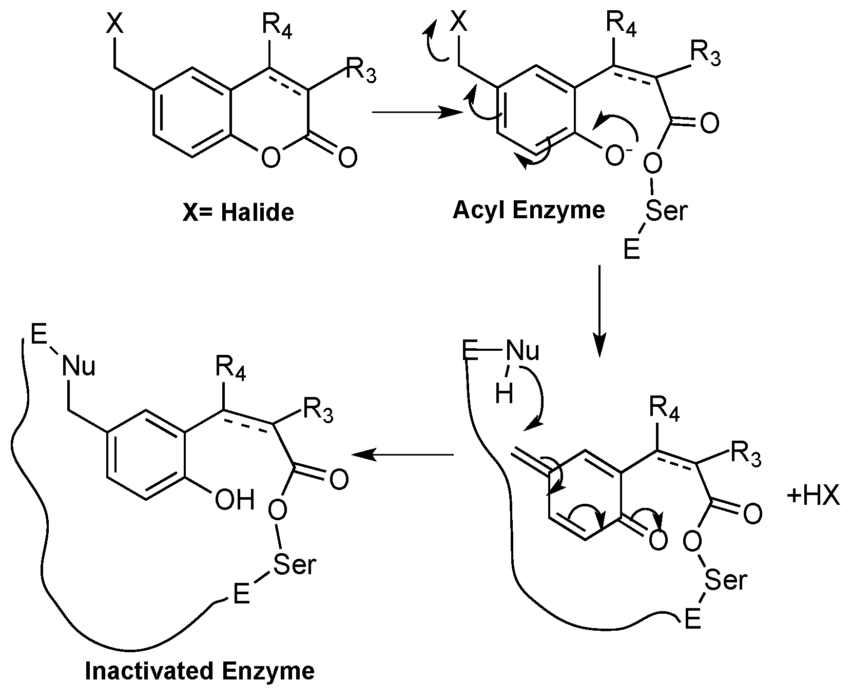 Molecules 23 00250 g006