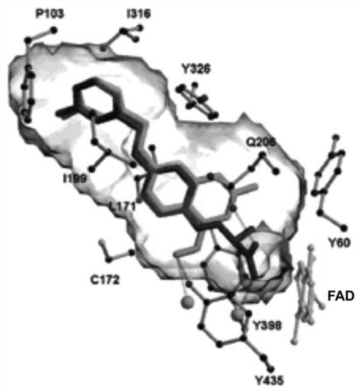 Molecules 23 00250 g016