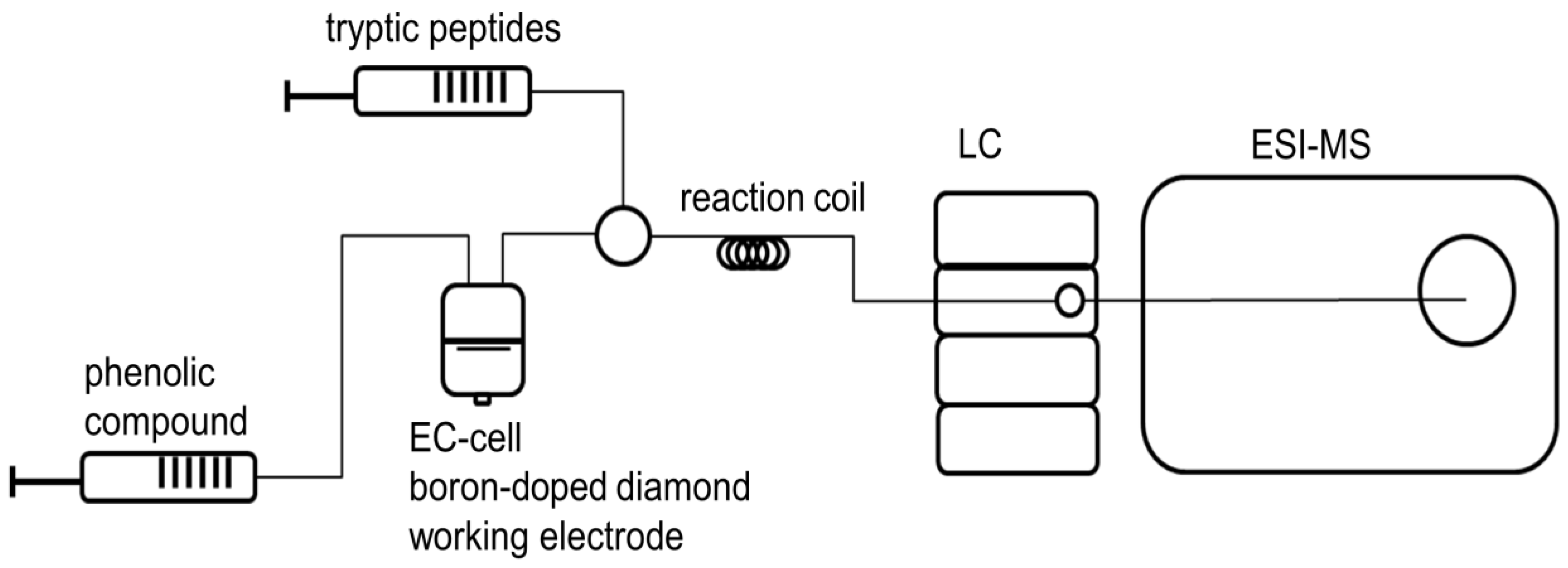 Molecules 23 00264 g006