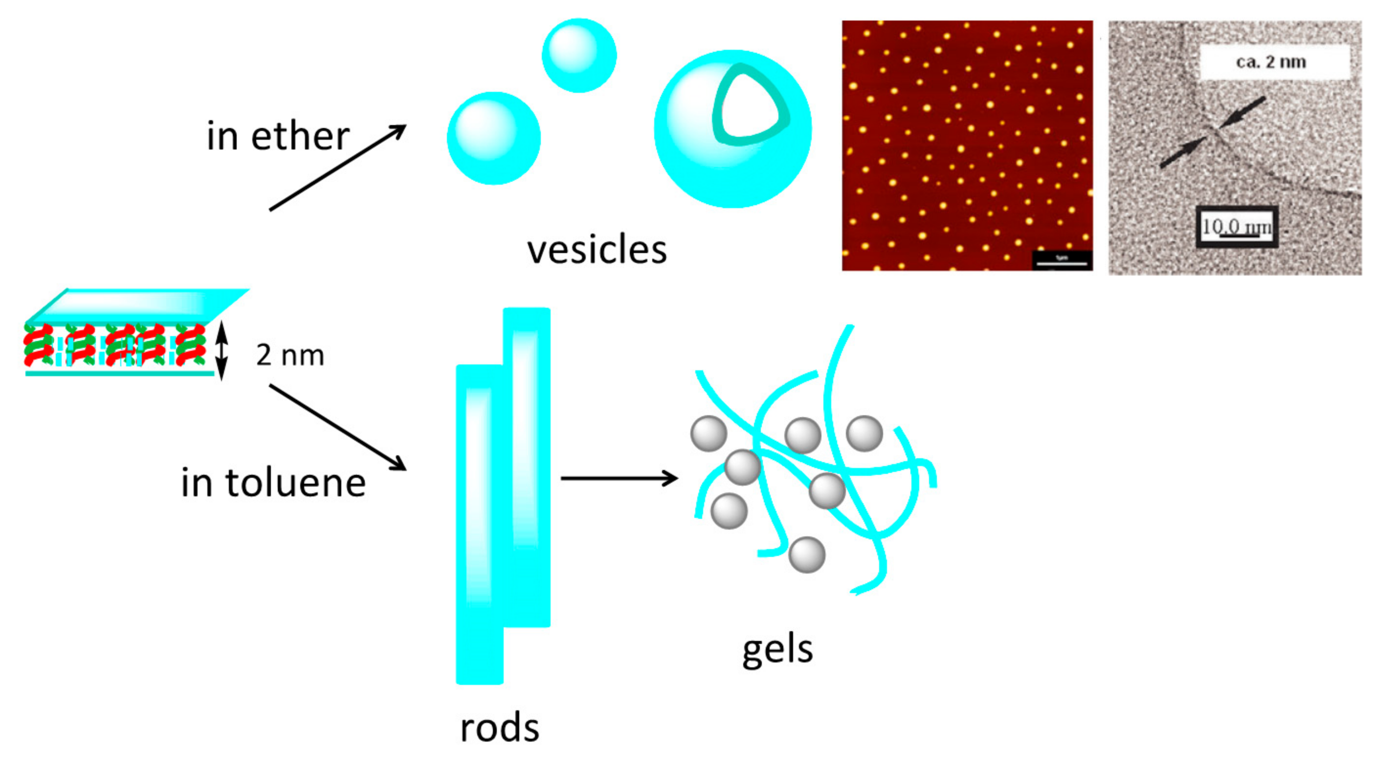 Molecules 23 00277 g020