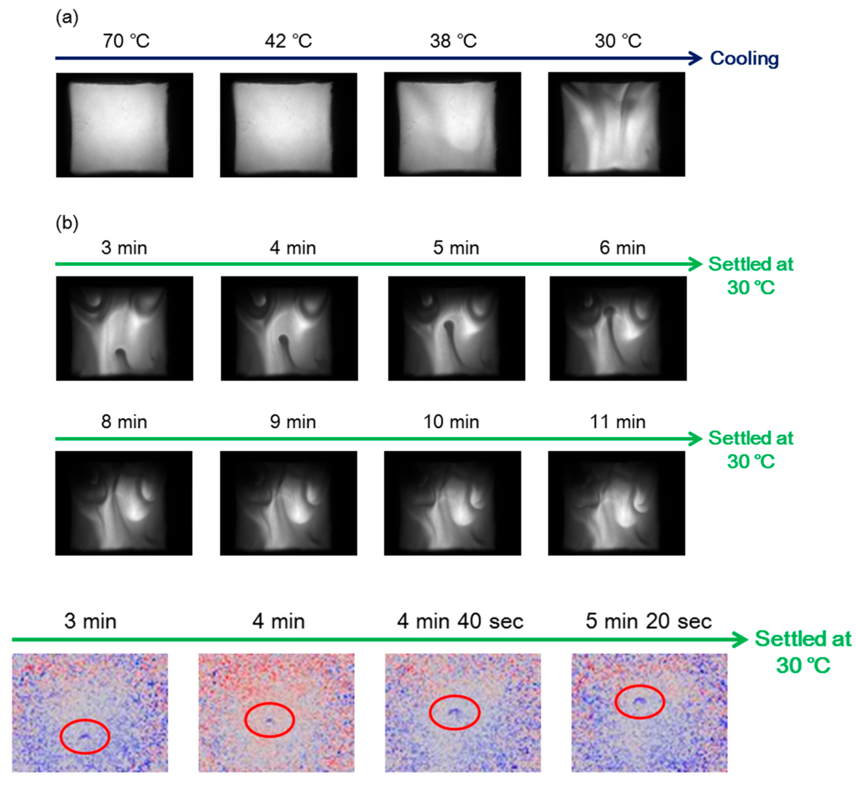 Molecules 23 00277 g039